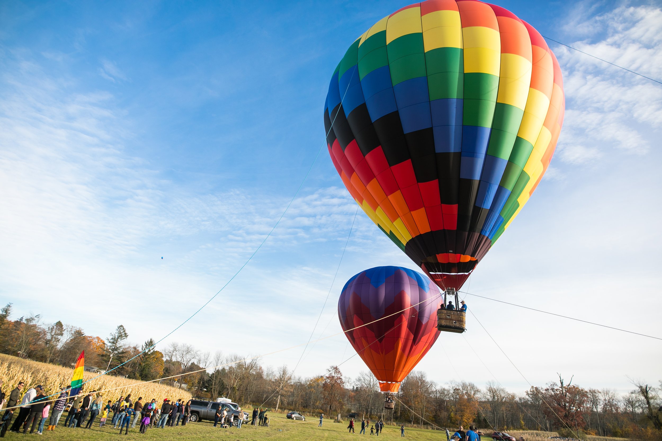 Two hot air balloons, one with rainbow stripes and another with heart pattern, float in sky above crowd at outdoor event with trees and cars on ground.