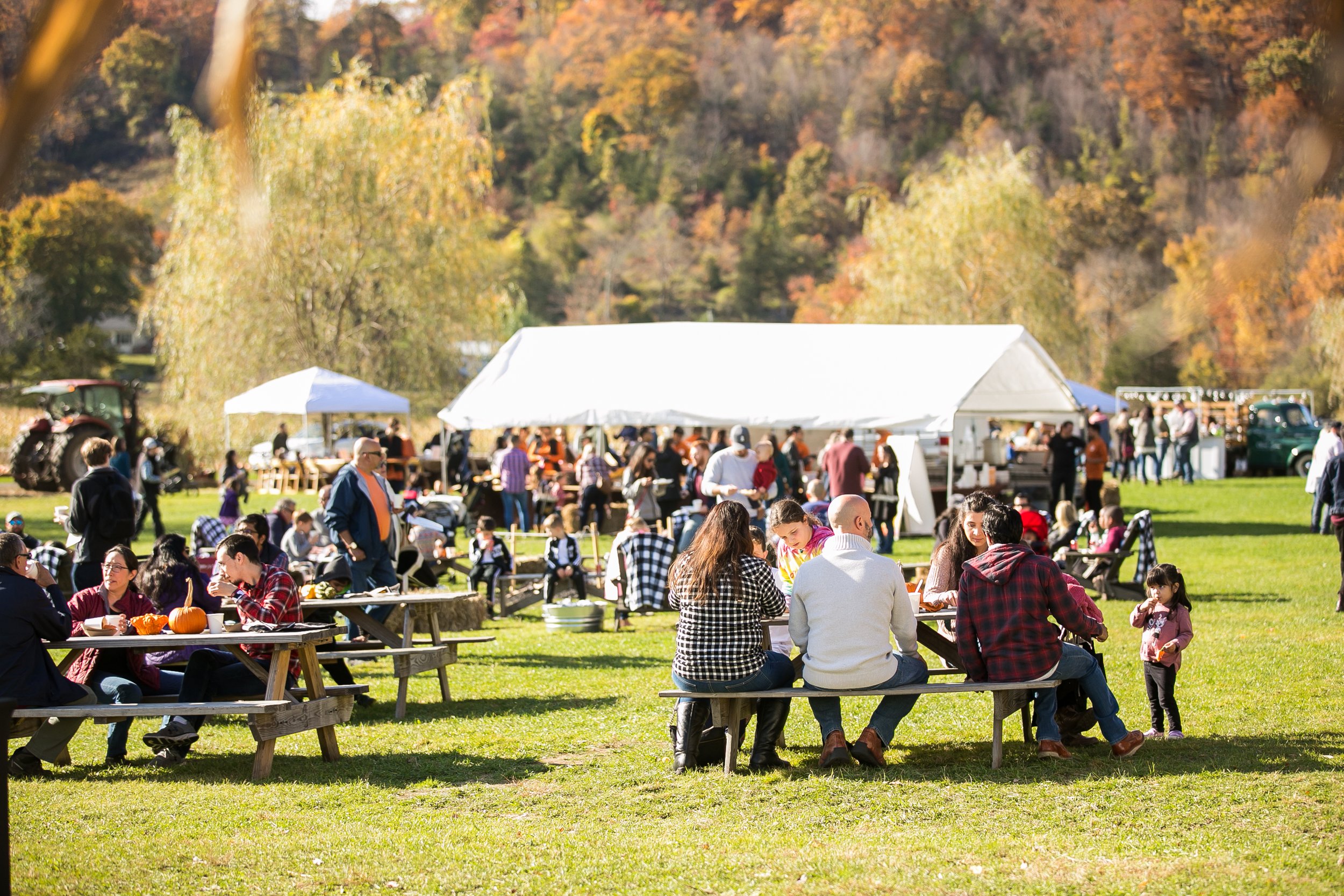 People enjoying a fall outdoor gathering with picnic tables, tents, and autumn trees in the background.
