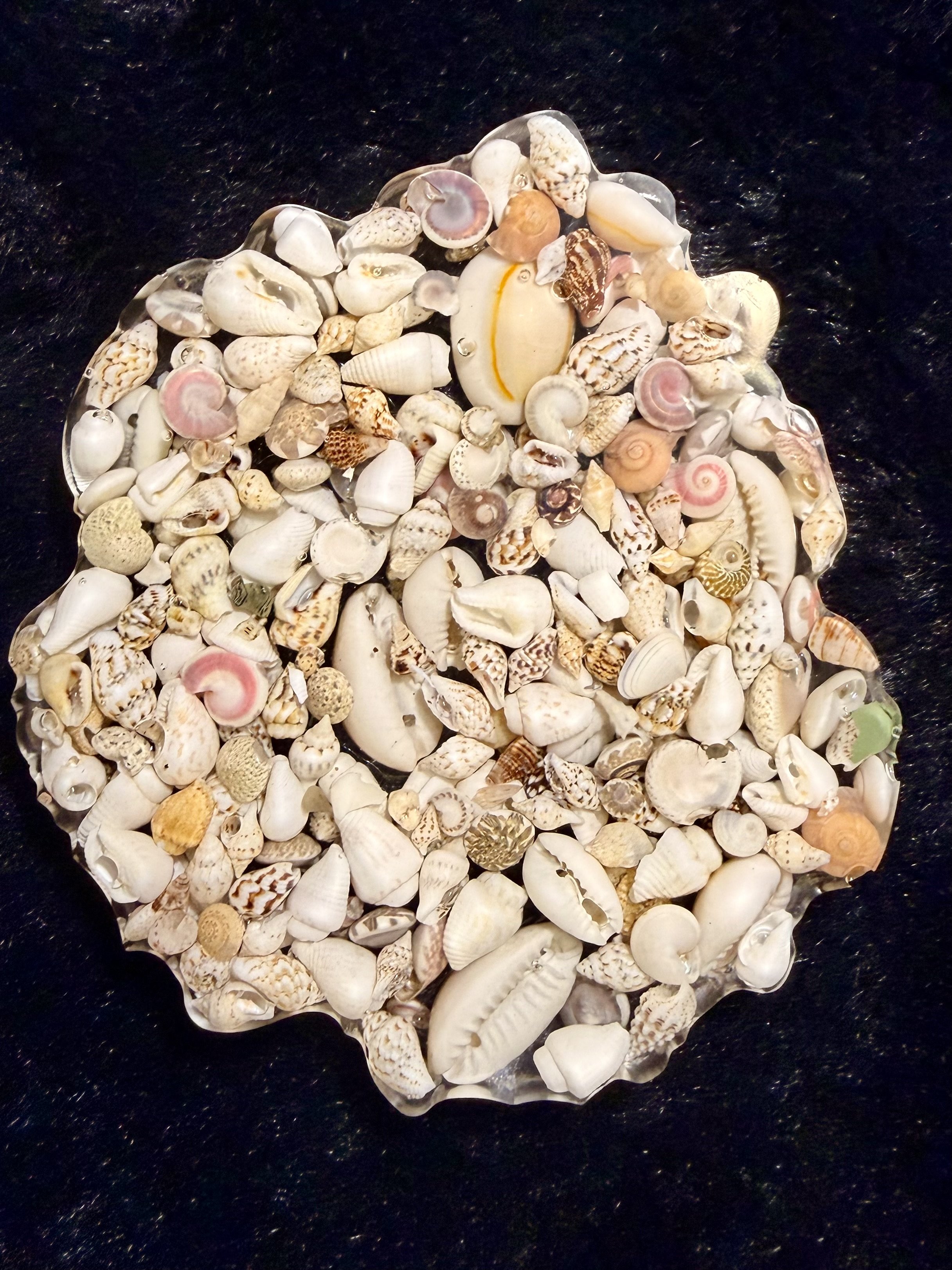Coastal Charm Tiny Shell Coaster