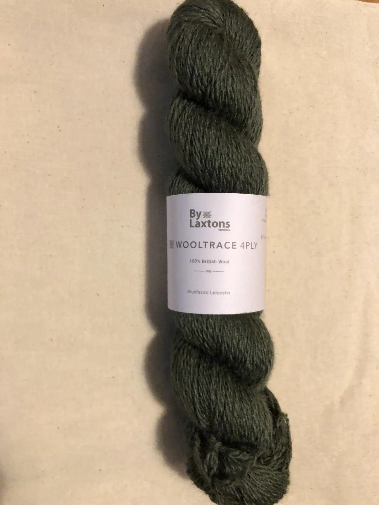 50g 4ply hank - Frosted Sage - Wooltrace