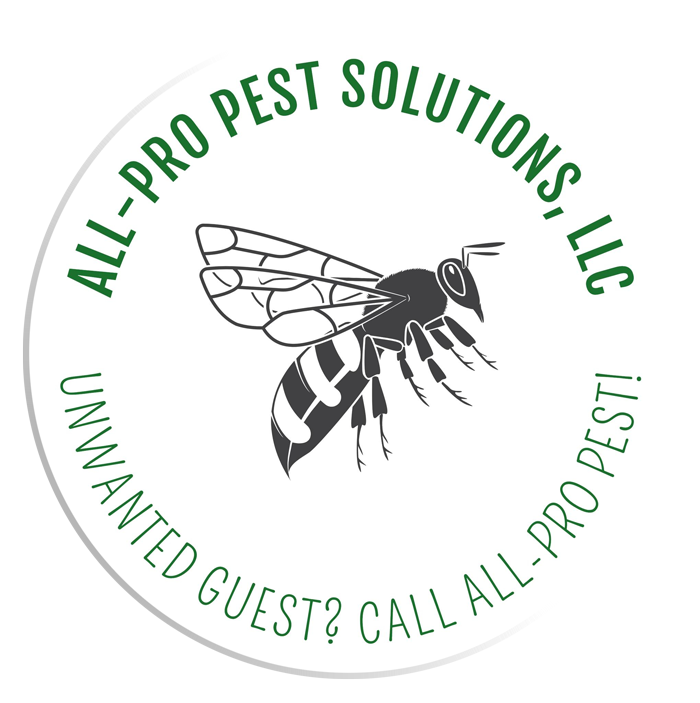 All Pro Pest Solutions