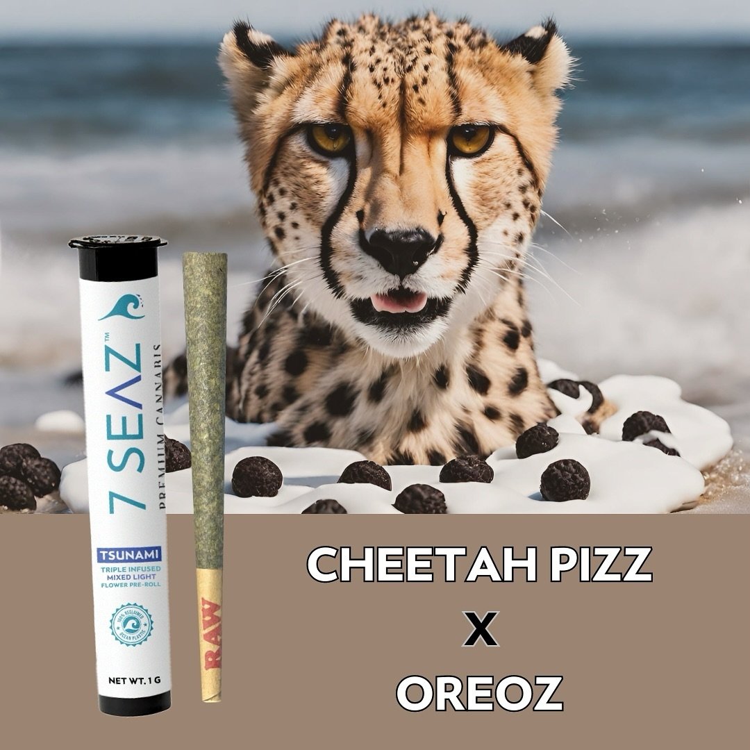 Cheetah Pizz x Oreoz 🐆🍪🌊.