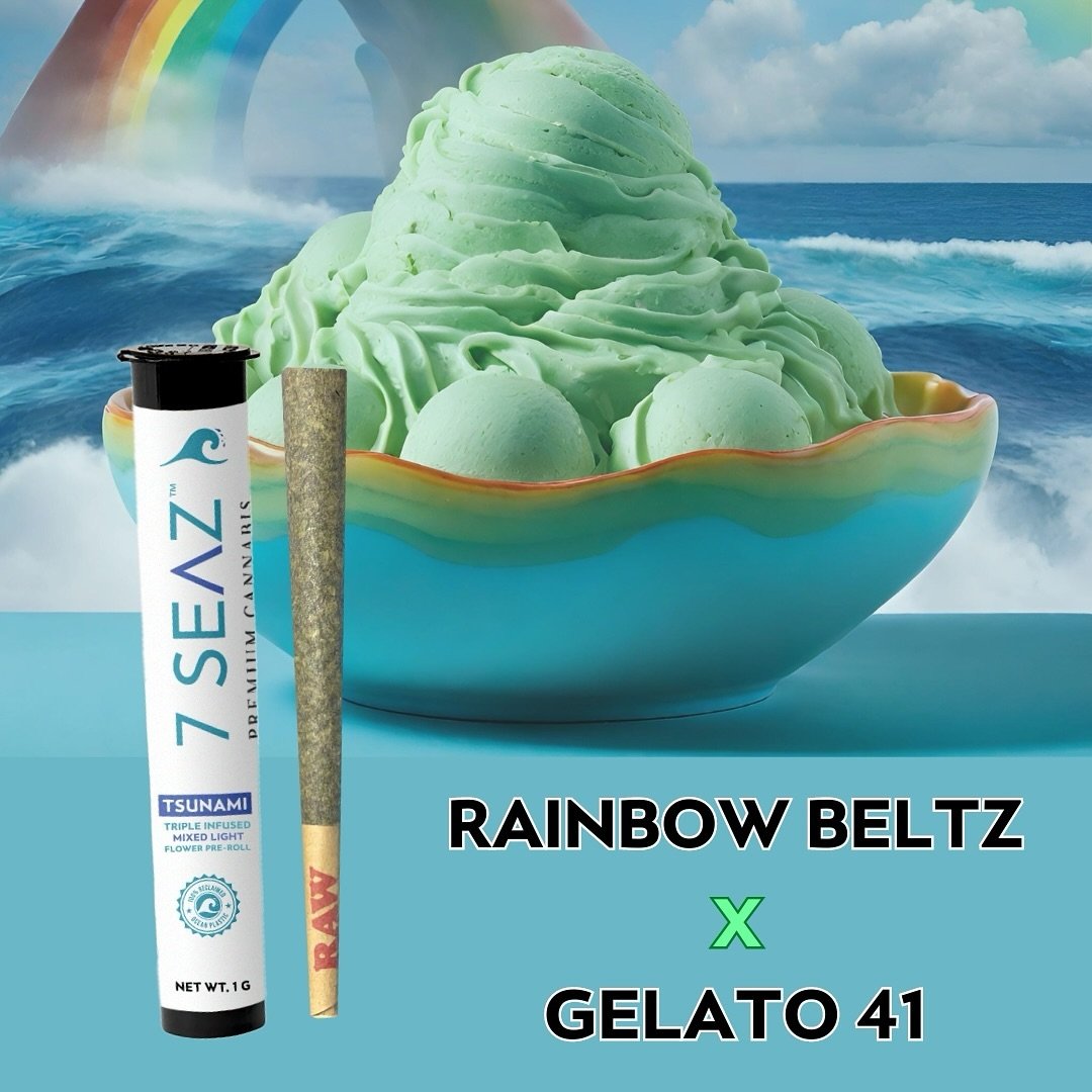 Rainbow Beltz x Gelato 41 🌈 🍨 🌊.
