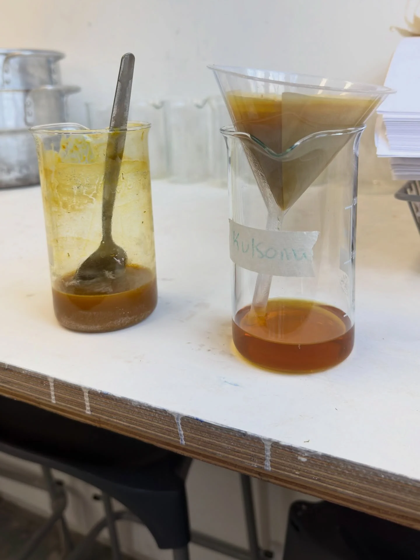 Laking pigment from camomile today. Video&rsquo;d is the process of adding potash to the biomatter and alum solution. Also in an effort to reduce waste caused by the leftover flowers in the workshop, I sent the scraps to the ceramics foundry to get i