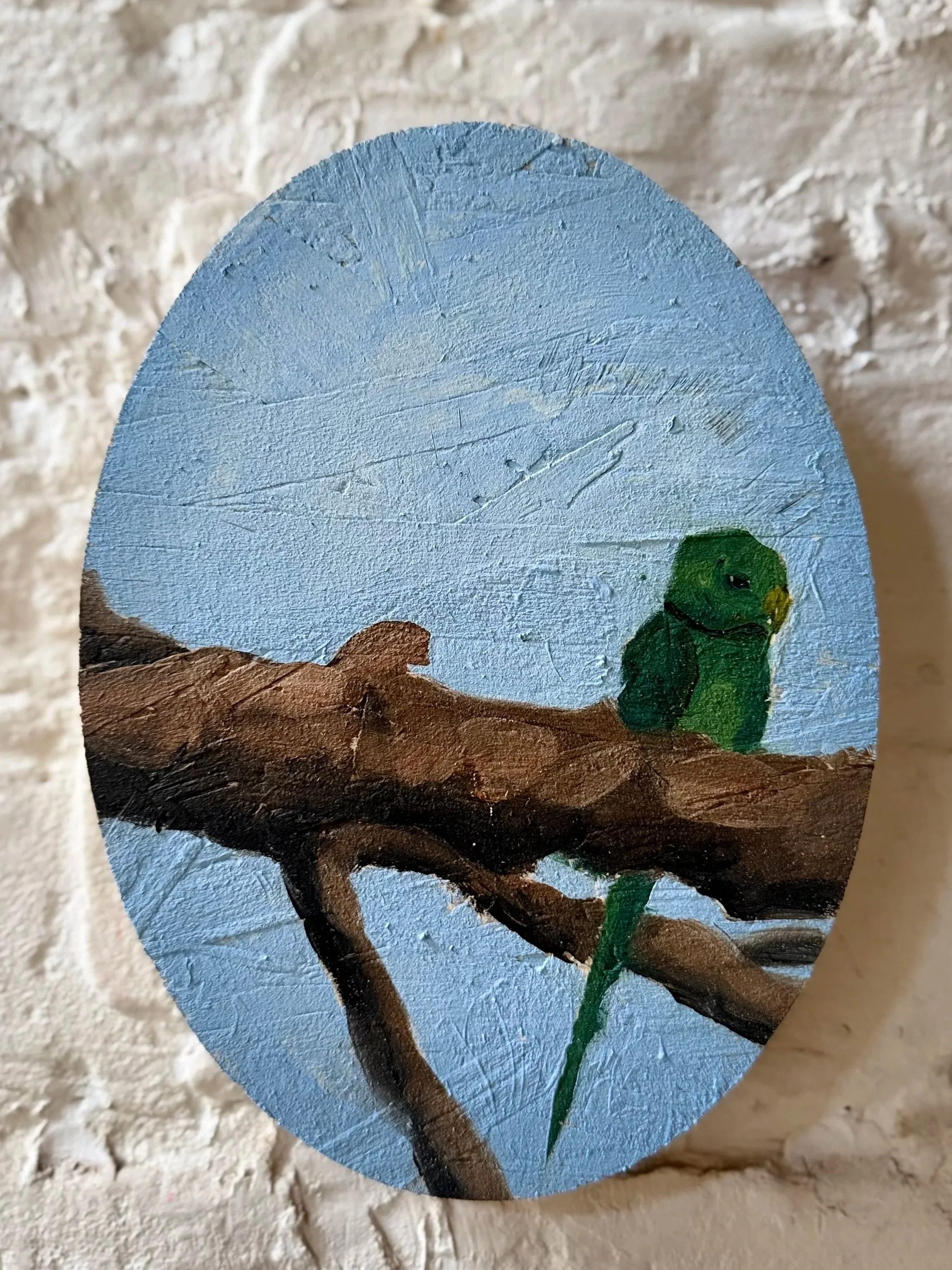 South London Ringneck (2026), 14 x 19 x 1.8 cm, oil on osb