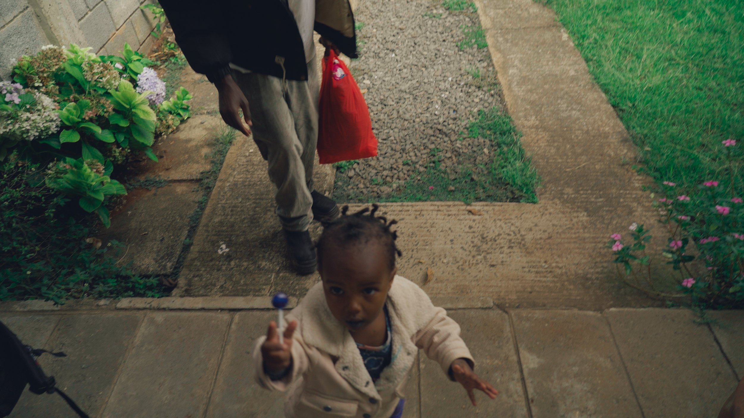 more color stills_1.4.1.jpg