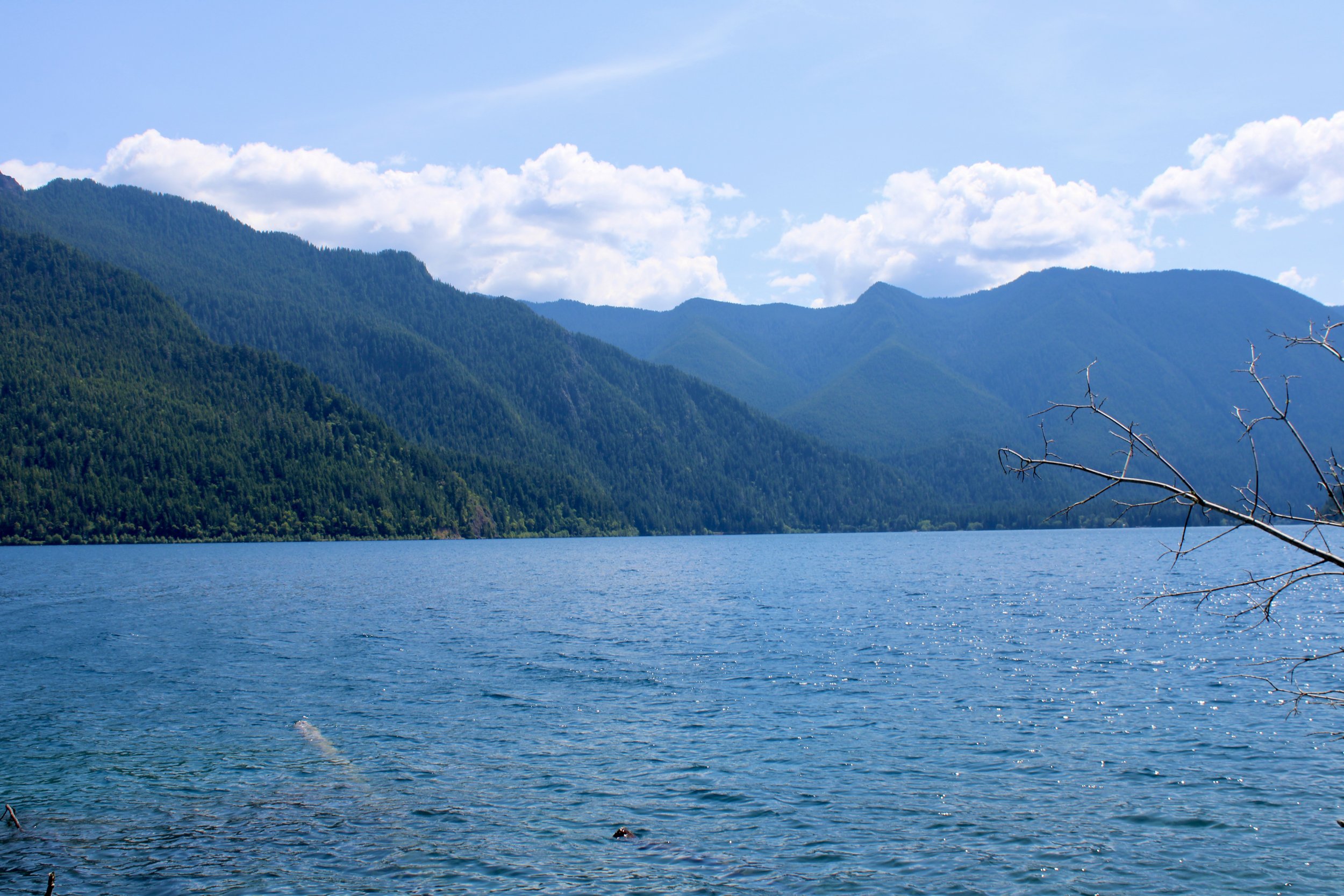 Olympic National Park