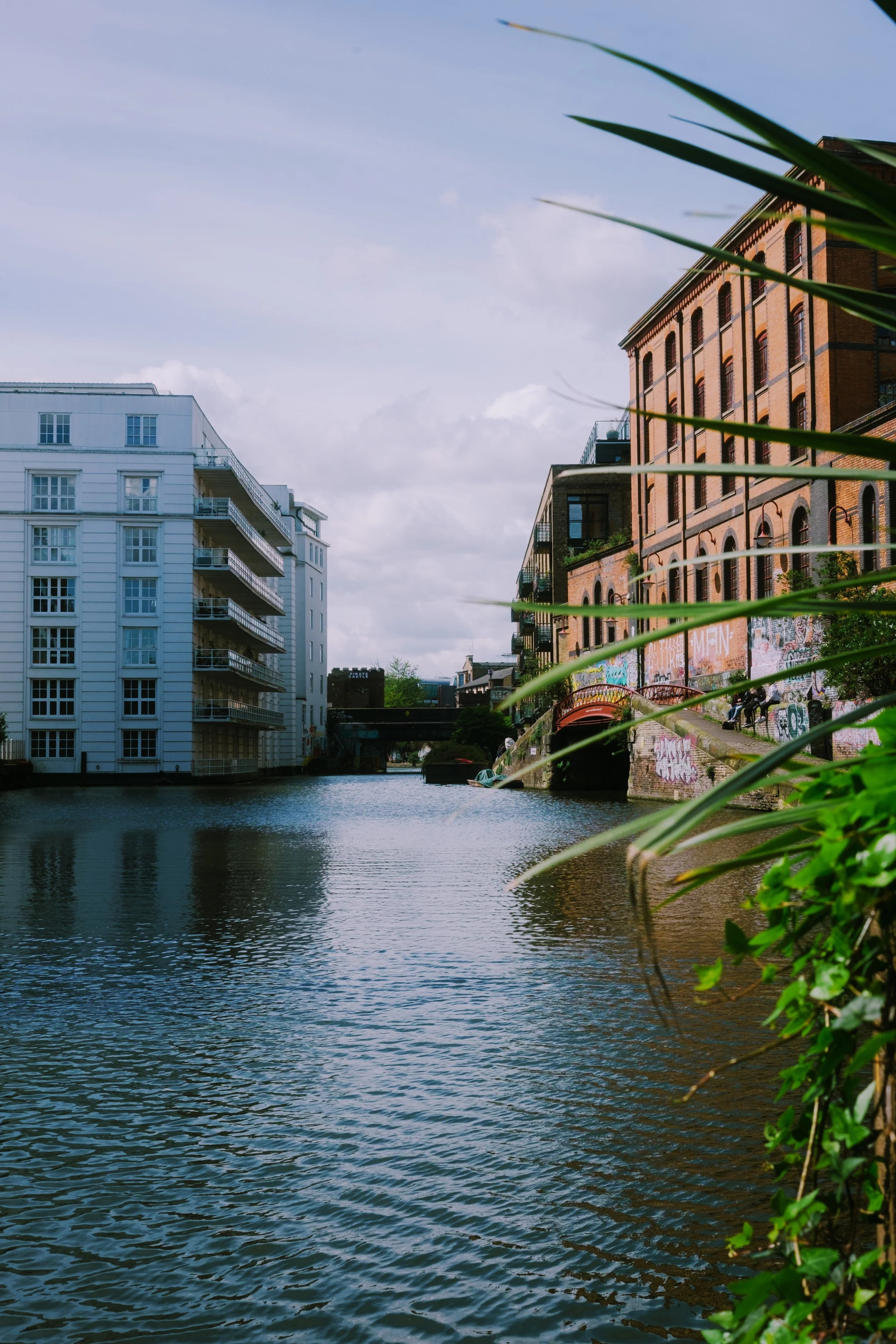 DSCF7664-2.jpg