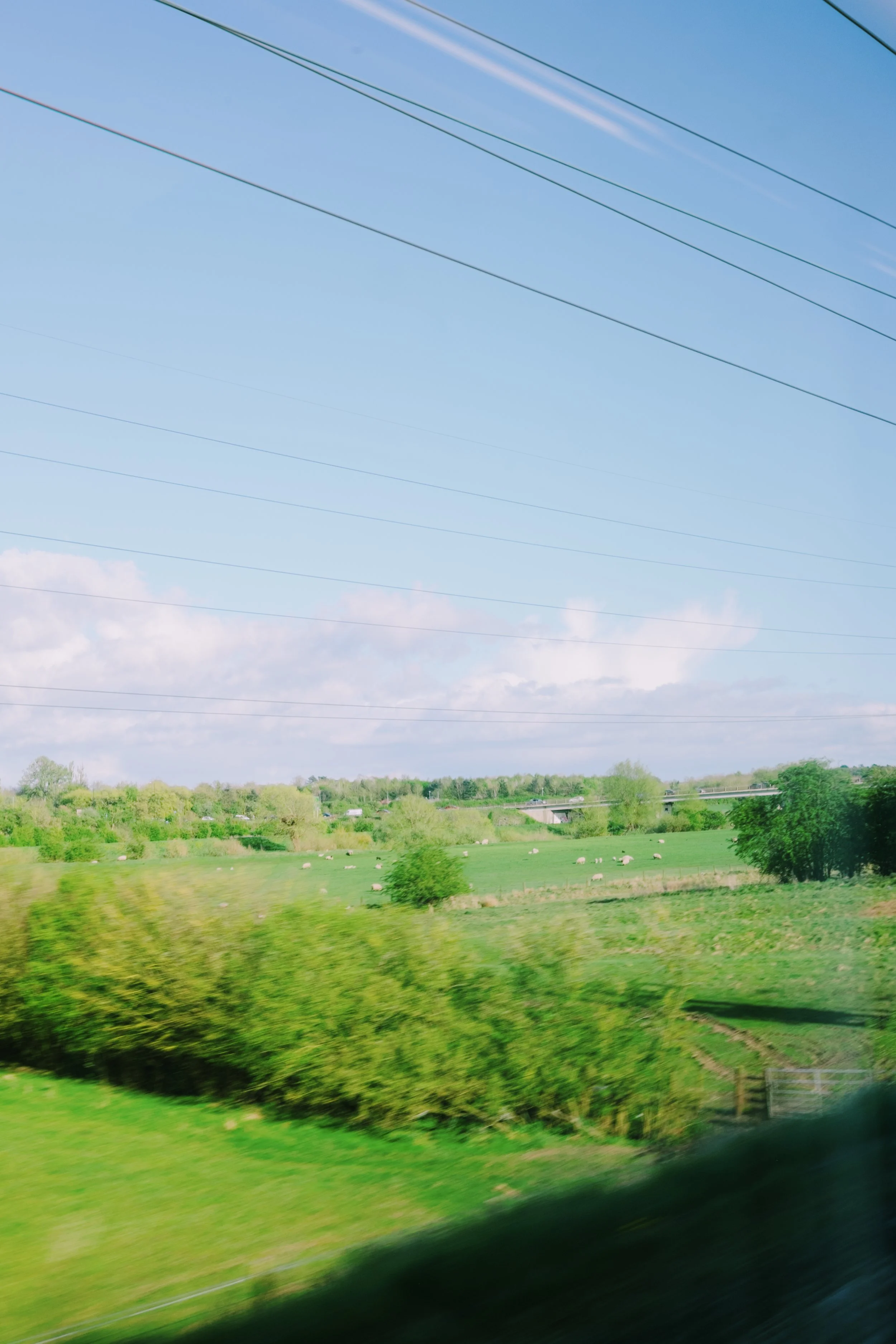 DSCF7674.jpg