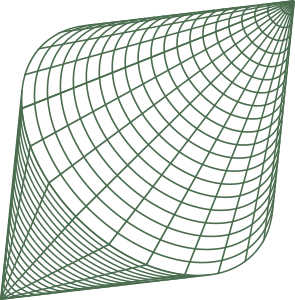 3D wireframe grid with curved surface, resembling a geometric mathematical shape.