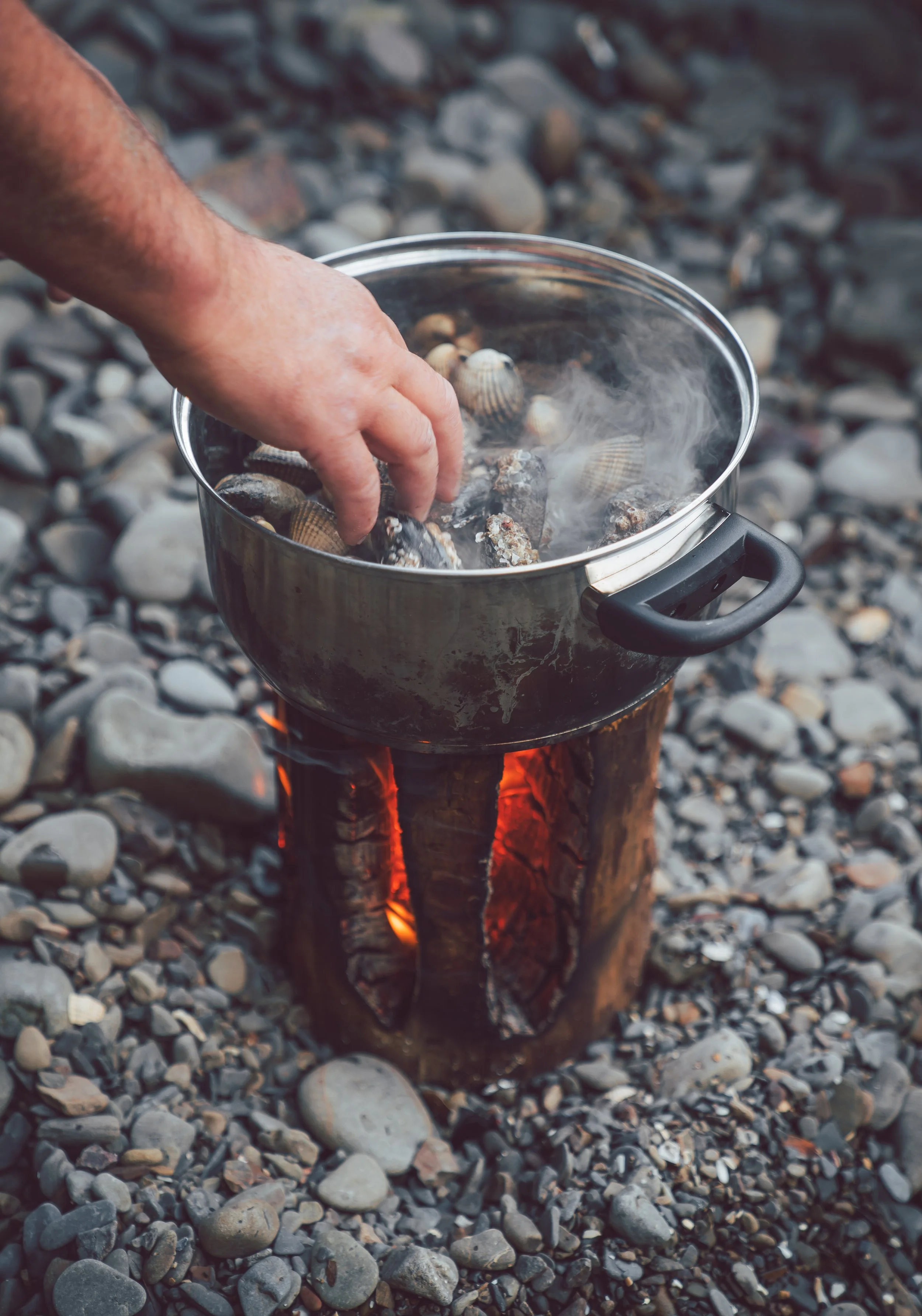 C&S - Pembrokeshire - 112.jpg