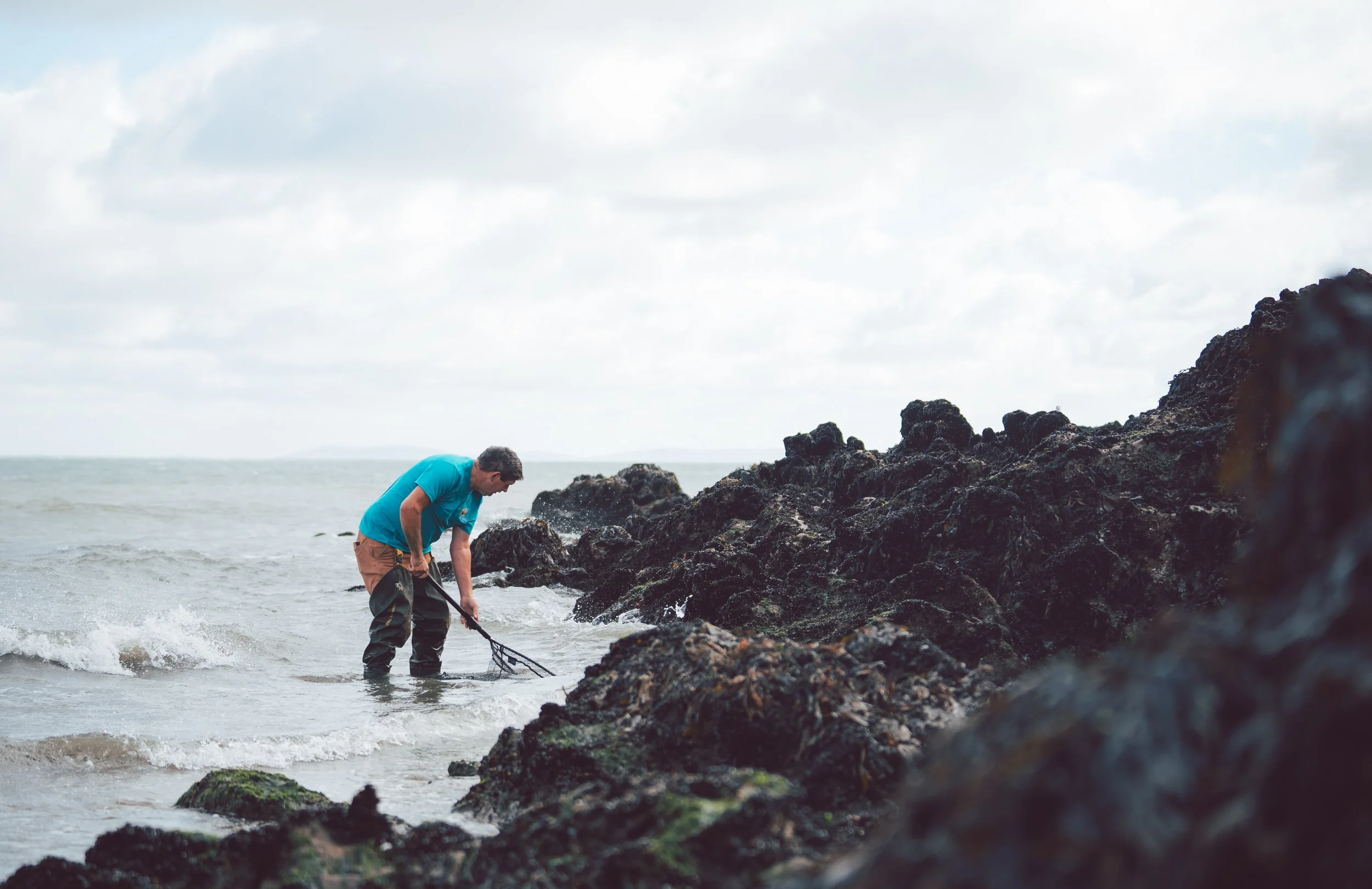 C&S - Pembrokeshire - 036.jpg