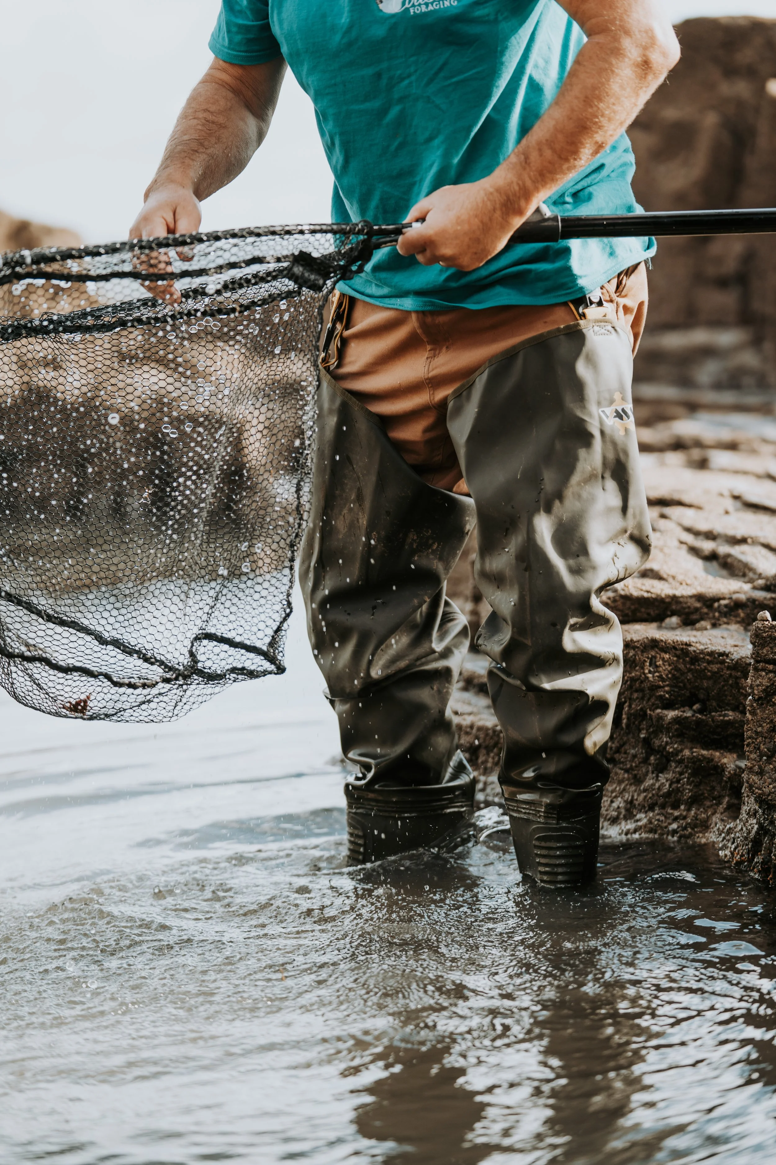 C&S - Pembrokeshire - 016.jpg