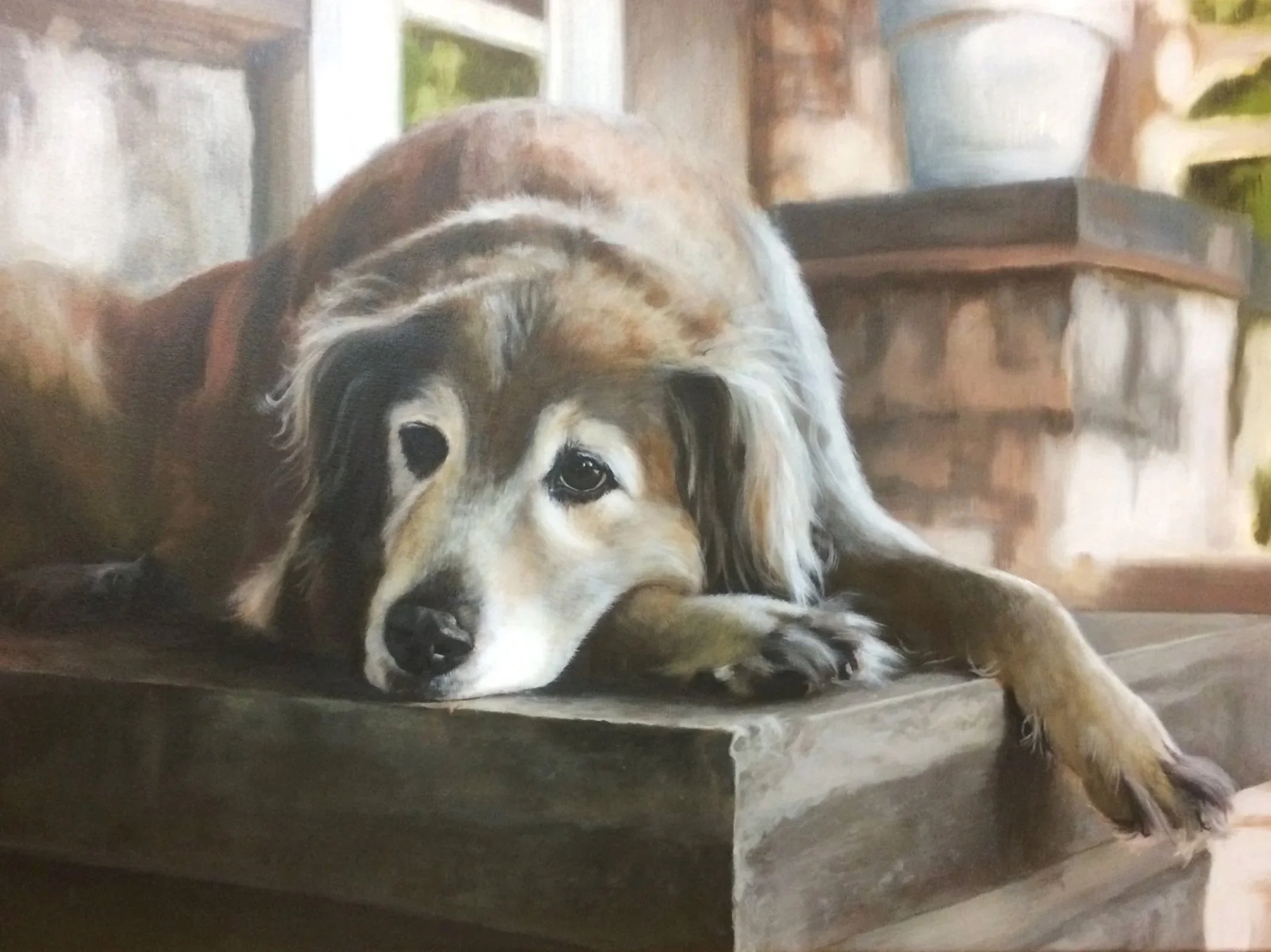 Daisy, a lovely and dependable mutt, lying on a wooden deck with her head resting on the porch waiting for her owner to come home.