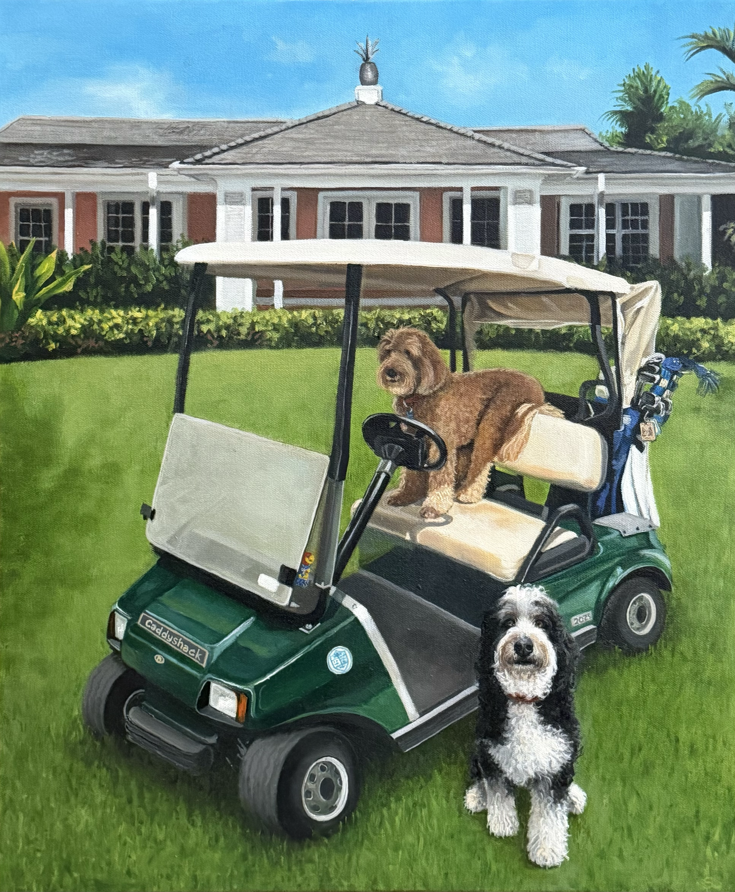 A fluffy black and white dog standing next to a green golf cart with two other dogs inside, on a well-maintained grassy area in front of a large house with a grey roof, white and red brick exterior, and a pineapple ornament on the roof peak, under a 