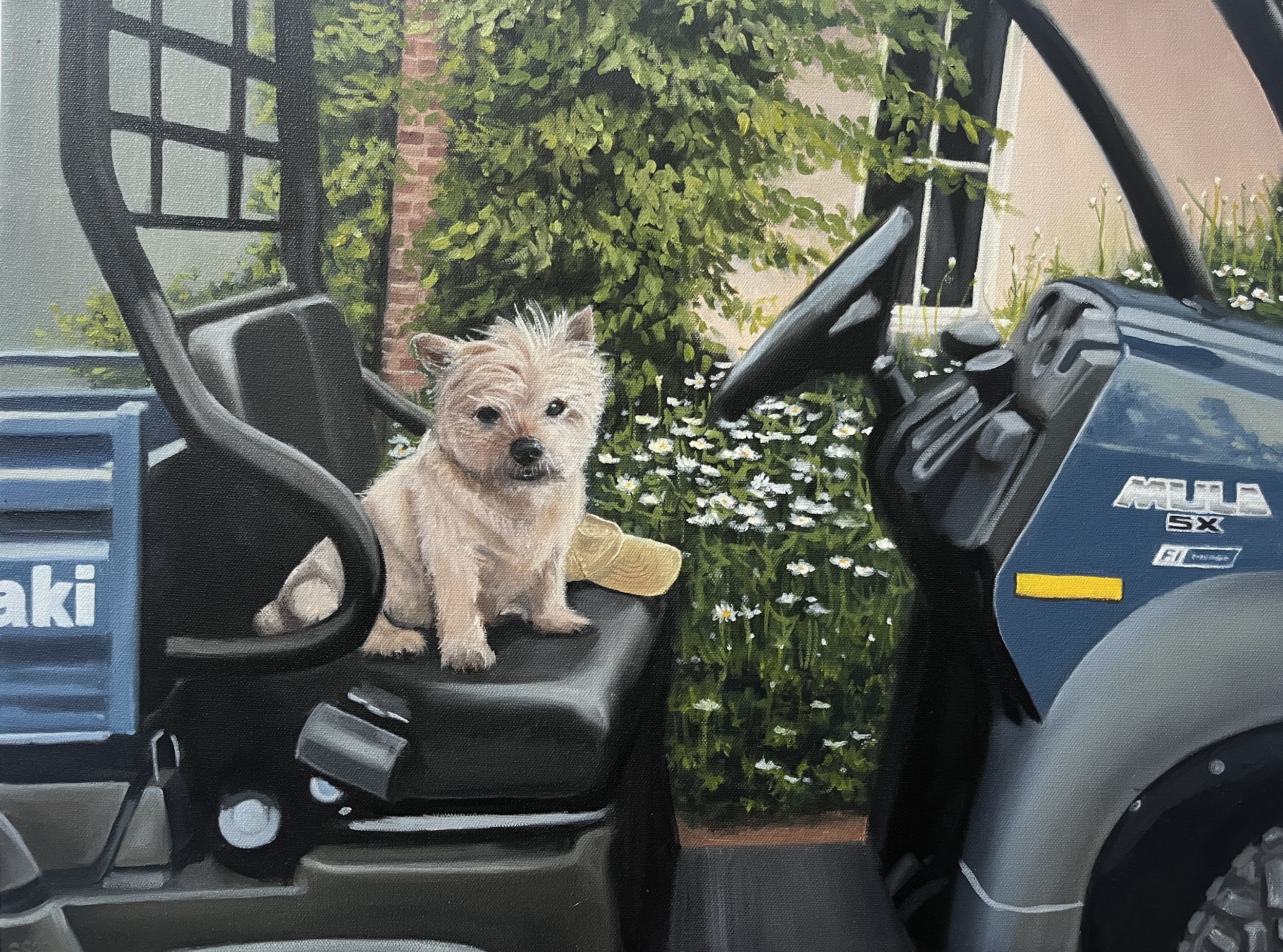 A small light-colored Cairn terrier sitting in a Kawasaki Mule with blooming white daisies and greenery in the background.