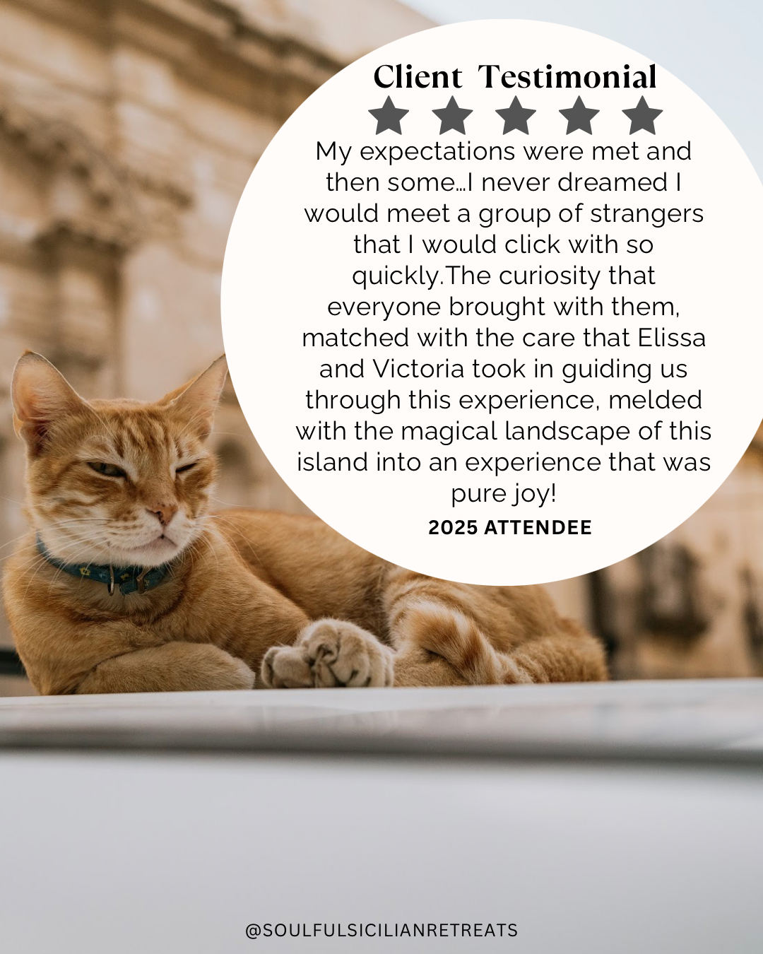 Black and White Classic Neutral Testimonial Social Media Post.png