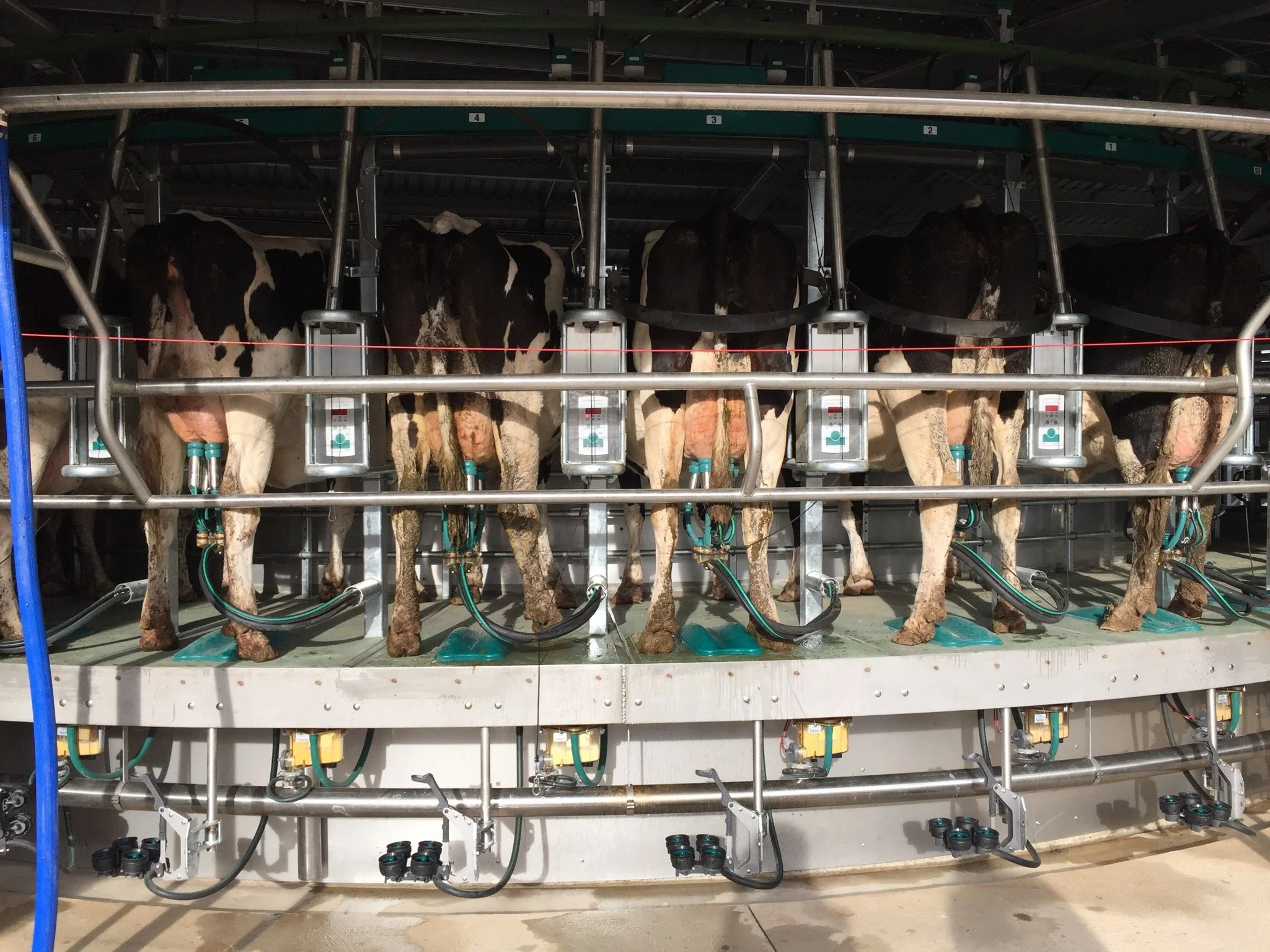 Oranssi carpenter using bench saw