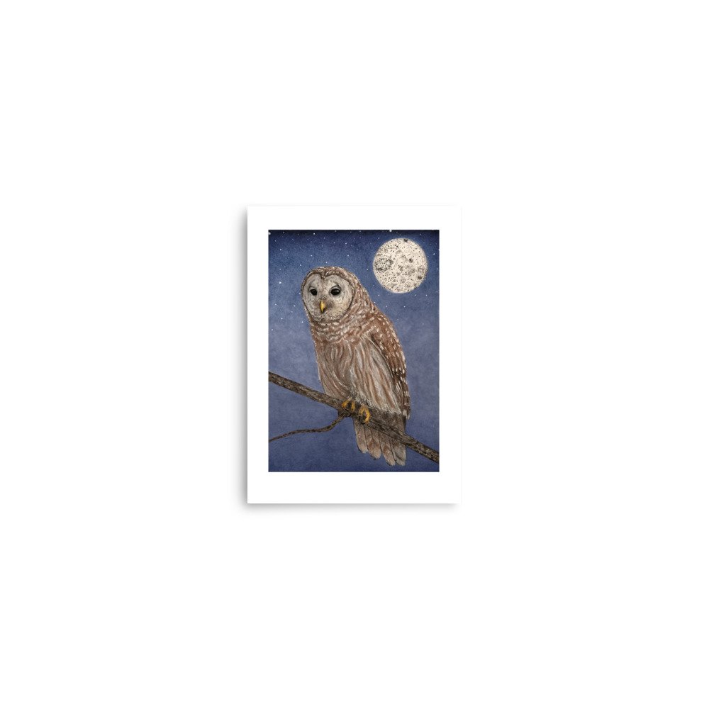 enhanced-matte-paper-poster-(in)-5x7-front-64a49aefde5e6.jpg
