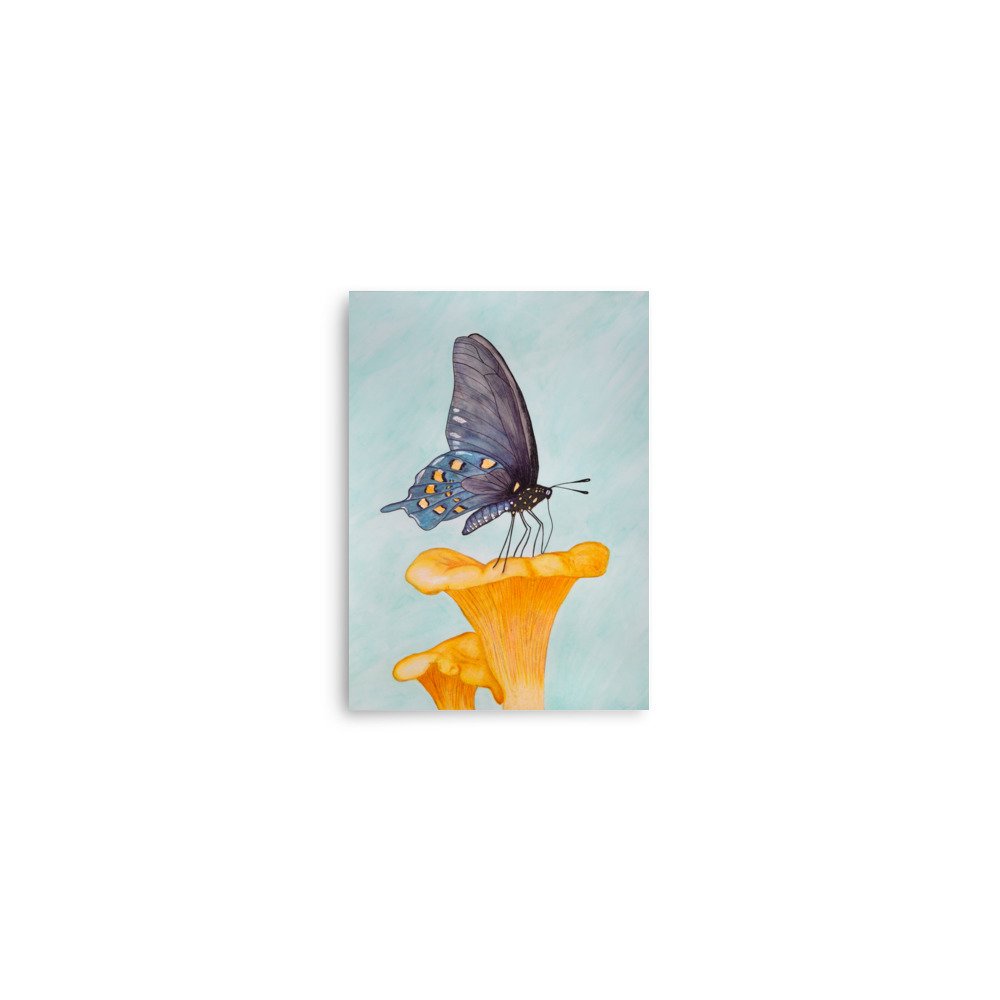 Butterfly & Chanterelle Print