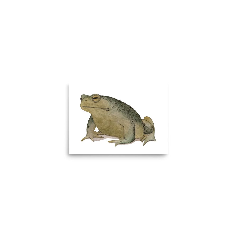 Unamused Toad Print