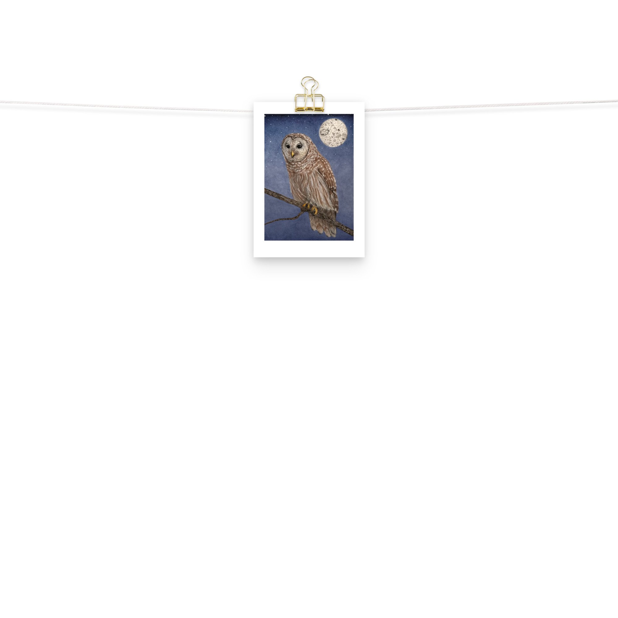 enhanced-matte-paper-poster-(in)-5x7-front-2-64b1a67e64e0a.jpg