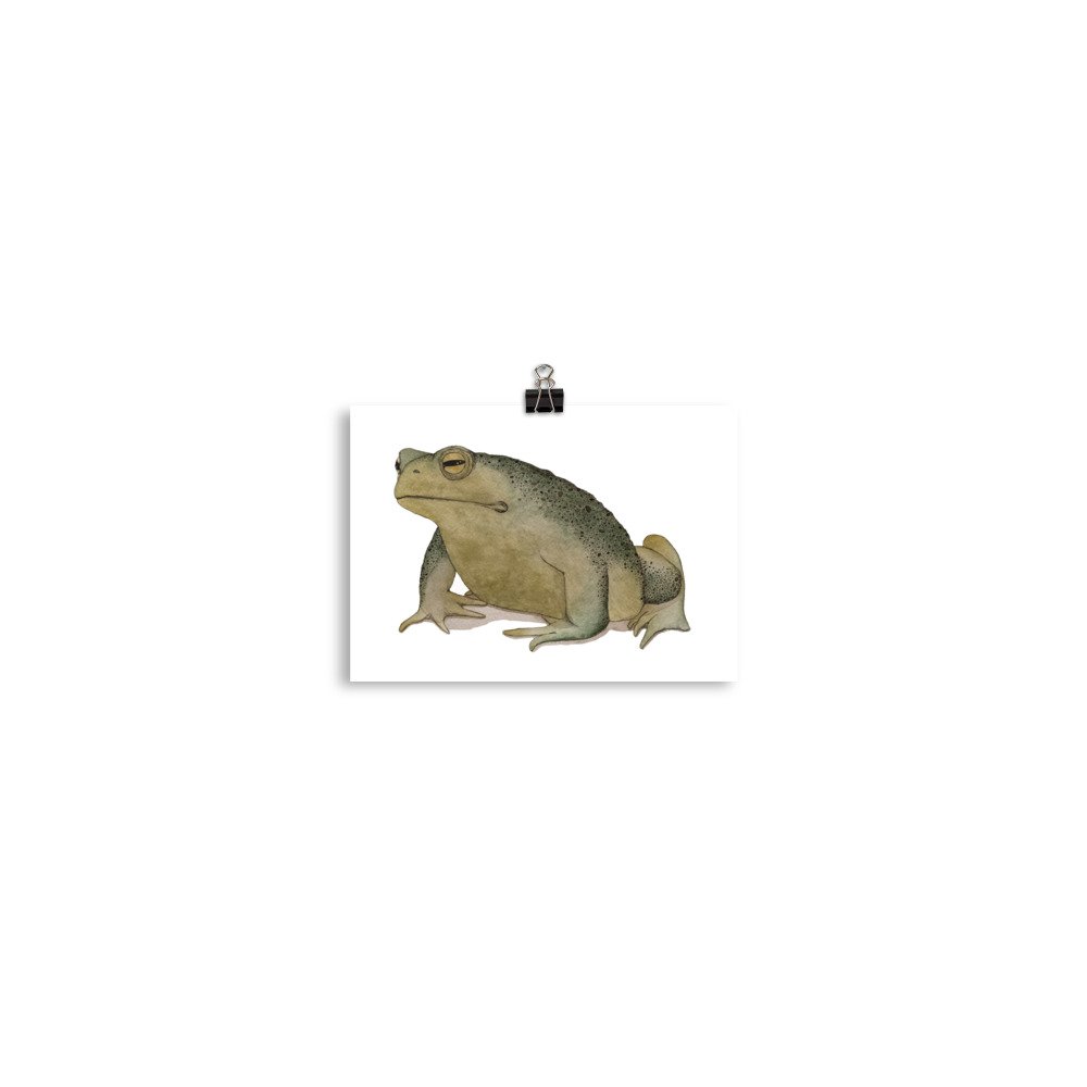 enhanced-matte-paper-poster-(in)-5x7-transparent-64b1a95461bbe.jpg