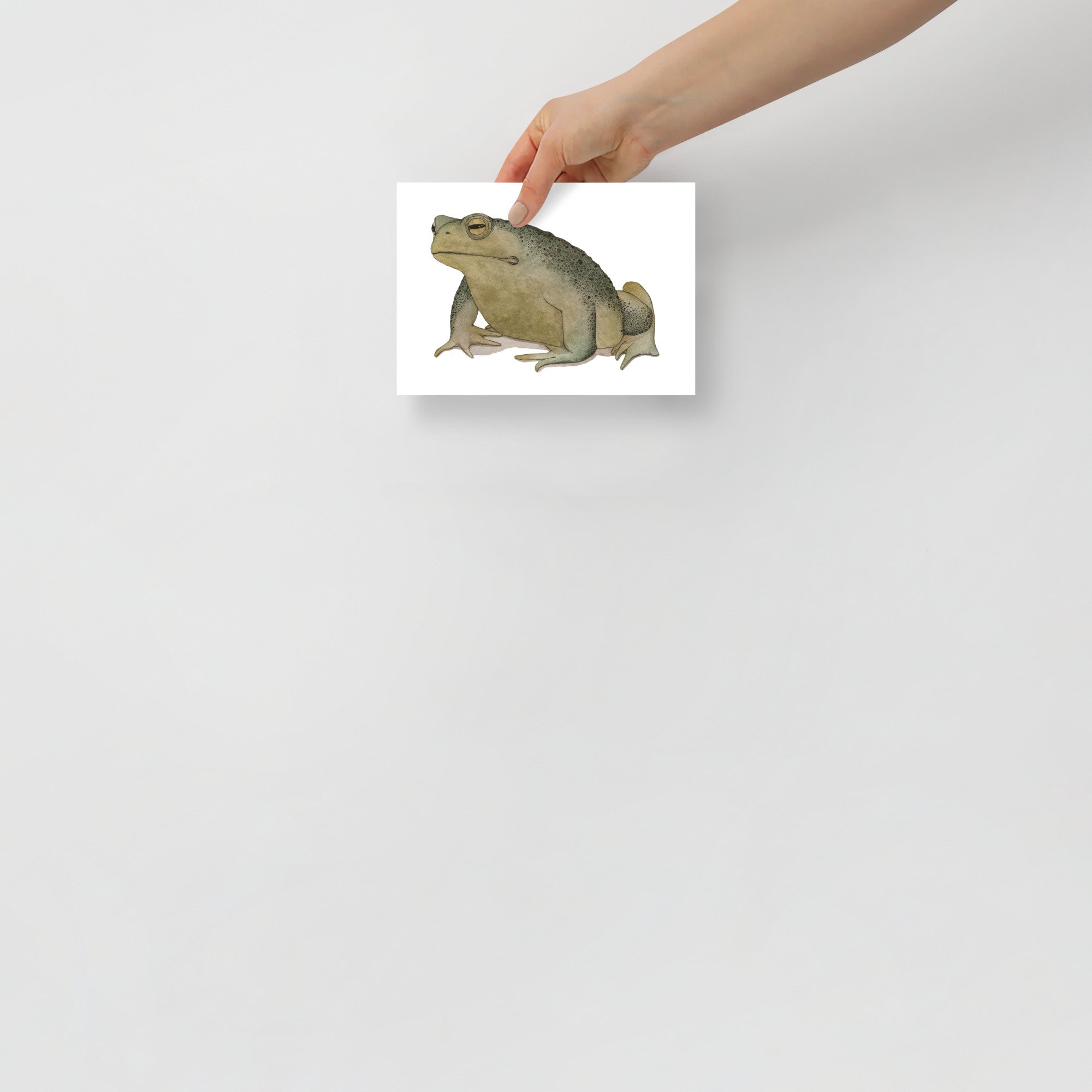 enhanced-matte-paper-poster-(in)-5x7-front-64b1a95461be9.jpg