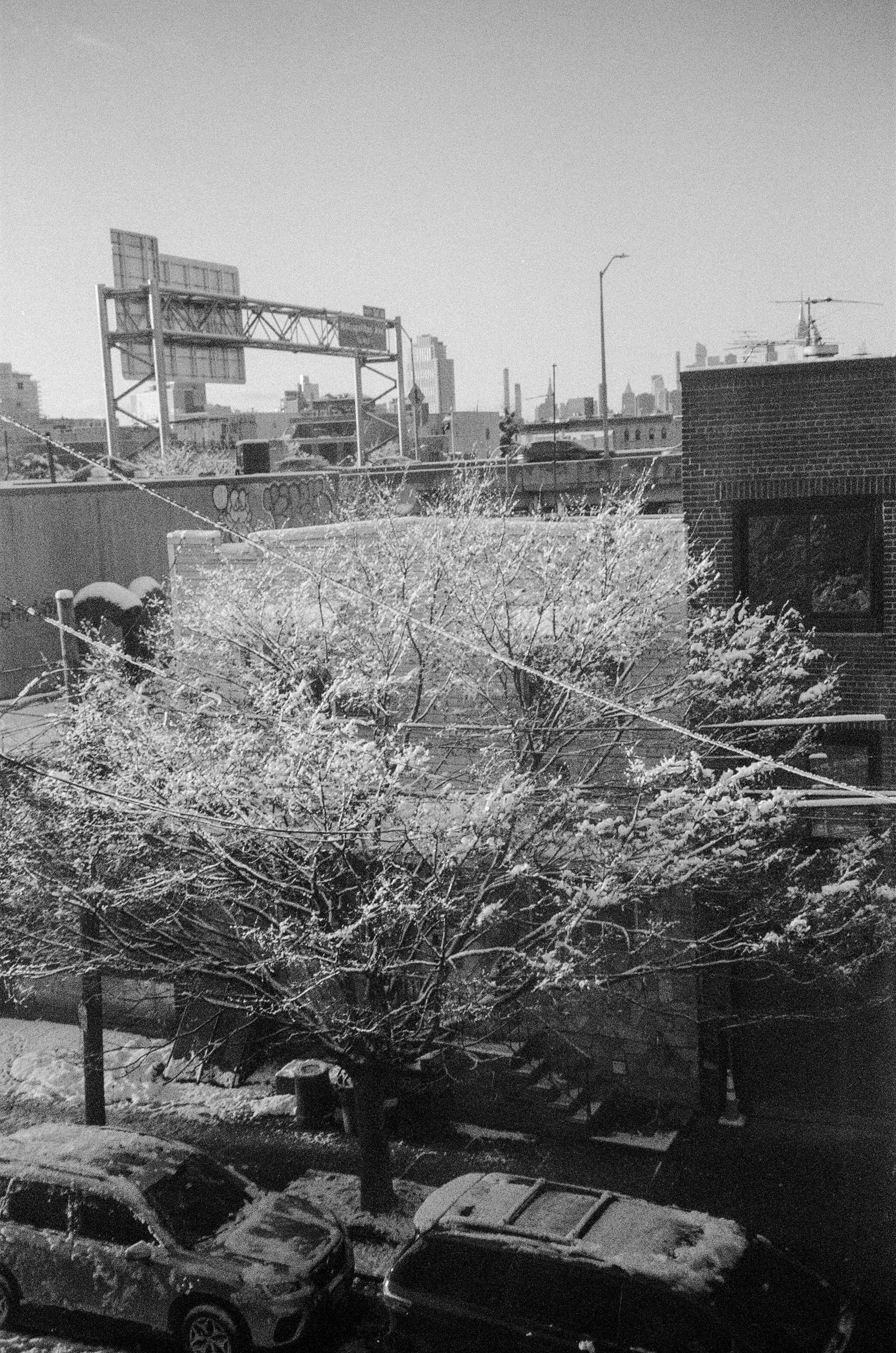 Ilford Delta 35mm. Brooklyn, NY. 2026.