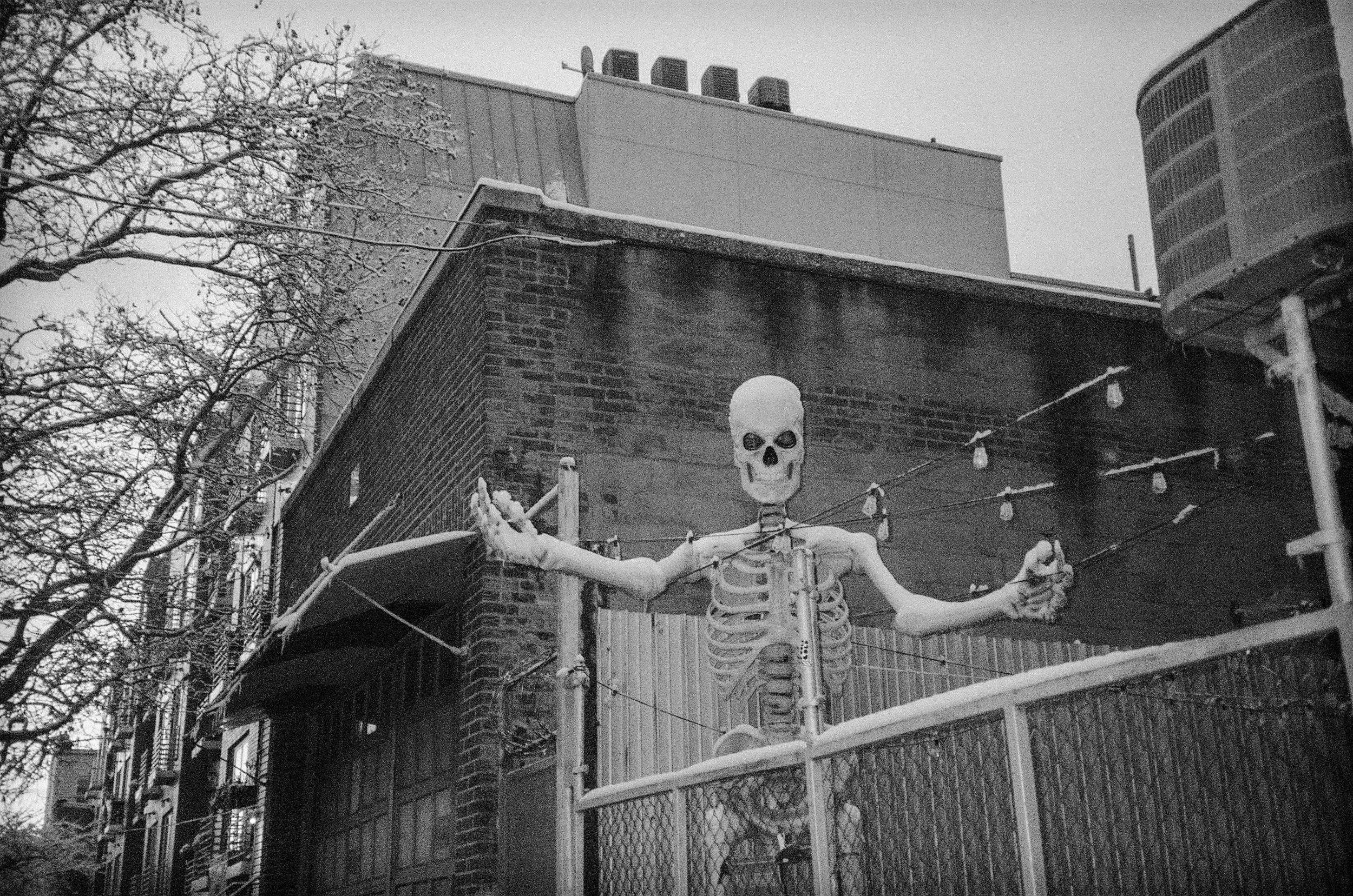 Ilford Delta 35mm. Brooklyn, NY. 2026.