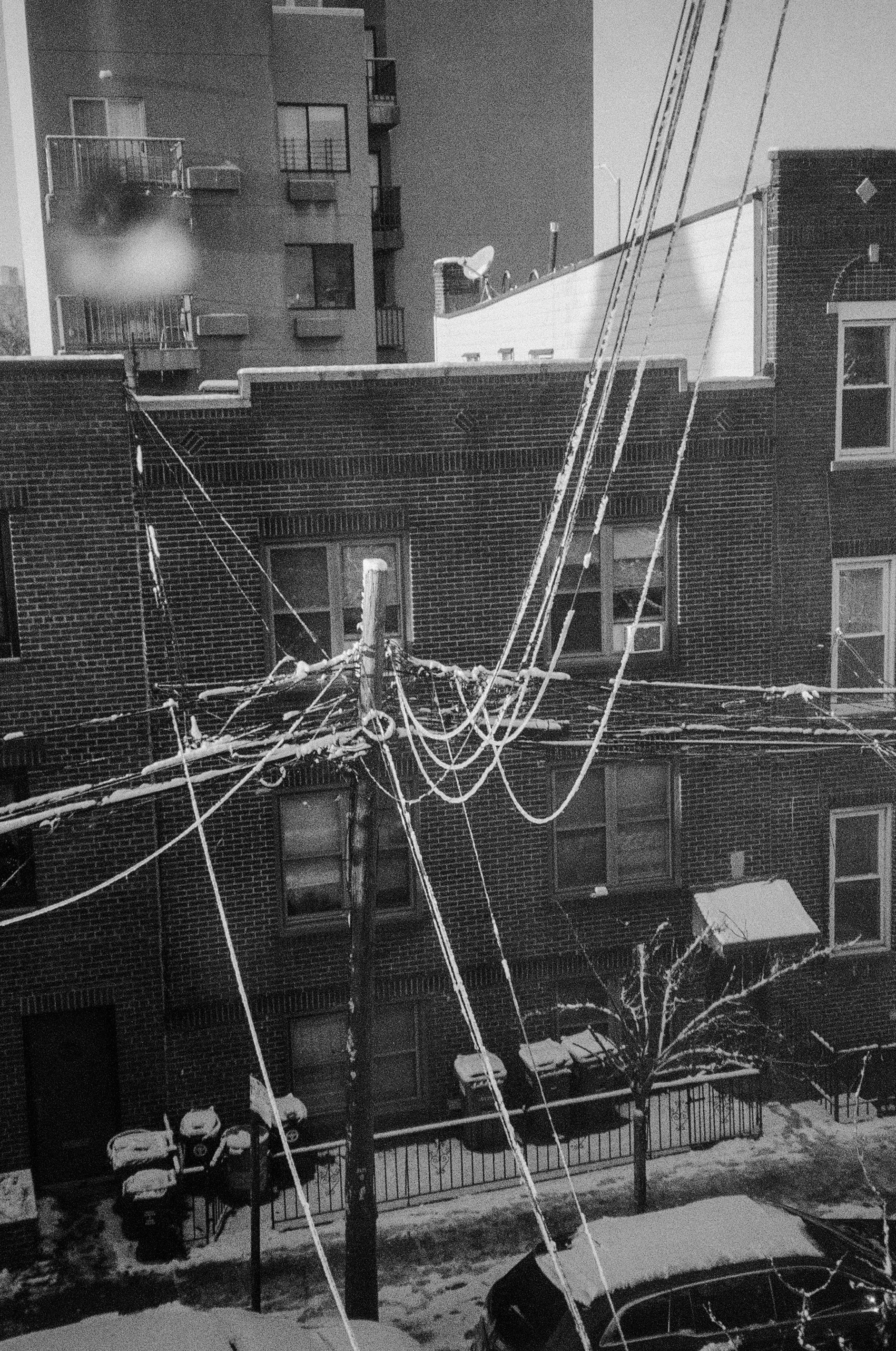 Ilford Delta 35mm. Brooklyn, NY. 2026.