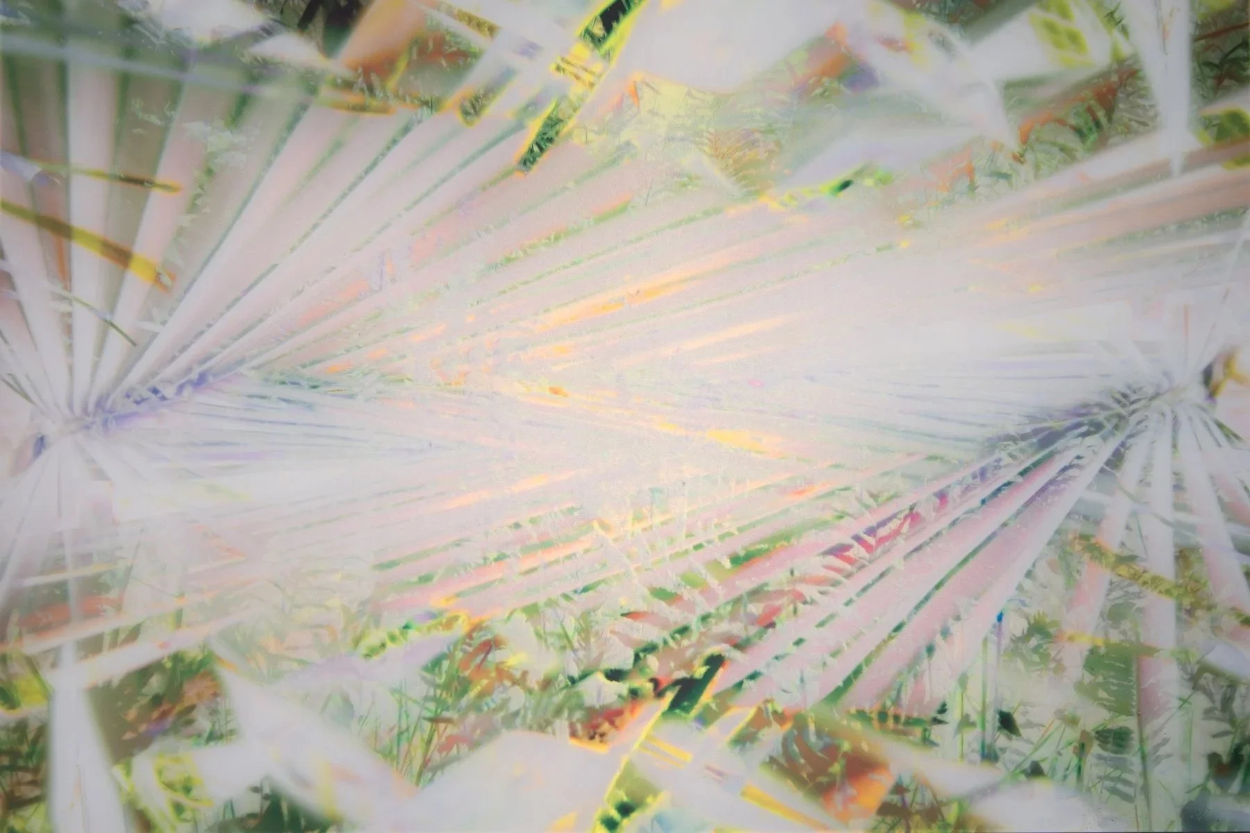 260131 Colorchrome 12 x 18 first set - SET 3-055.jpg