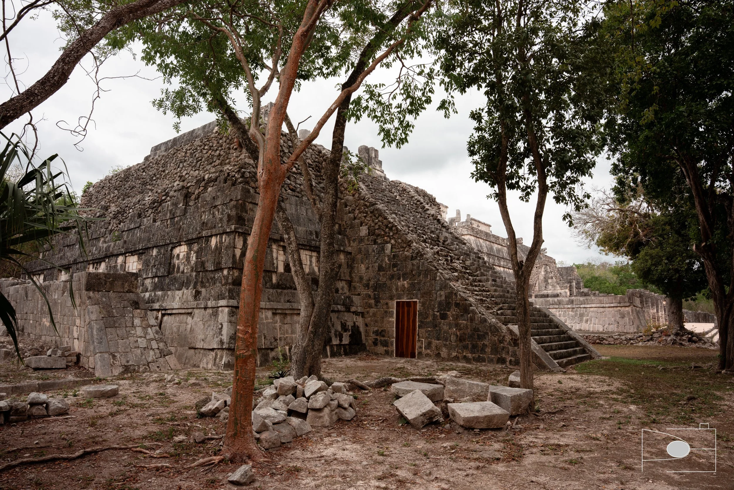 DSE06981.jpg