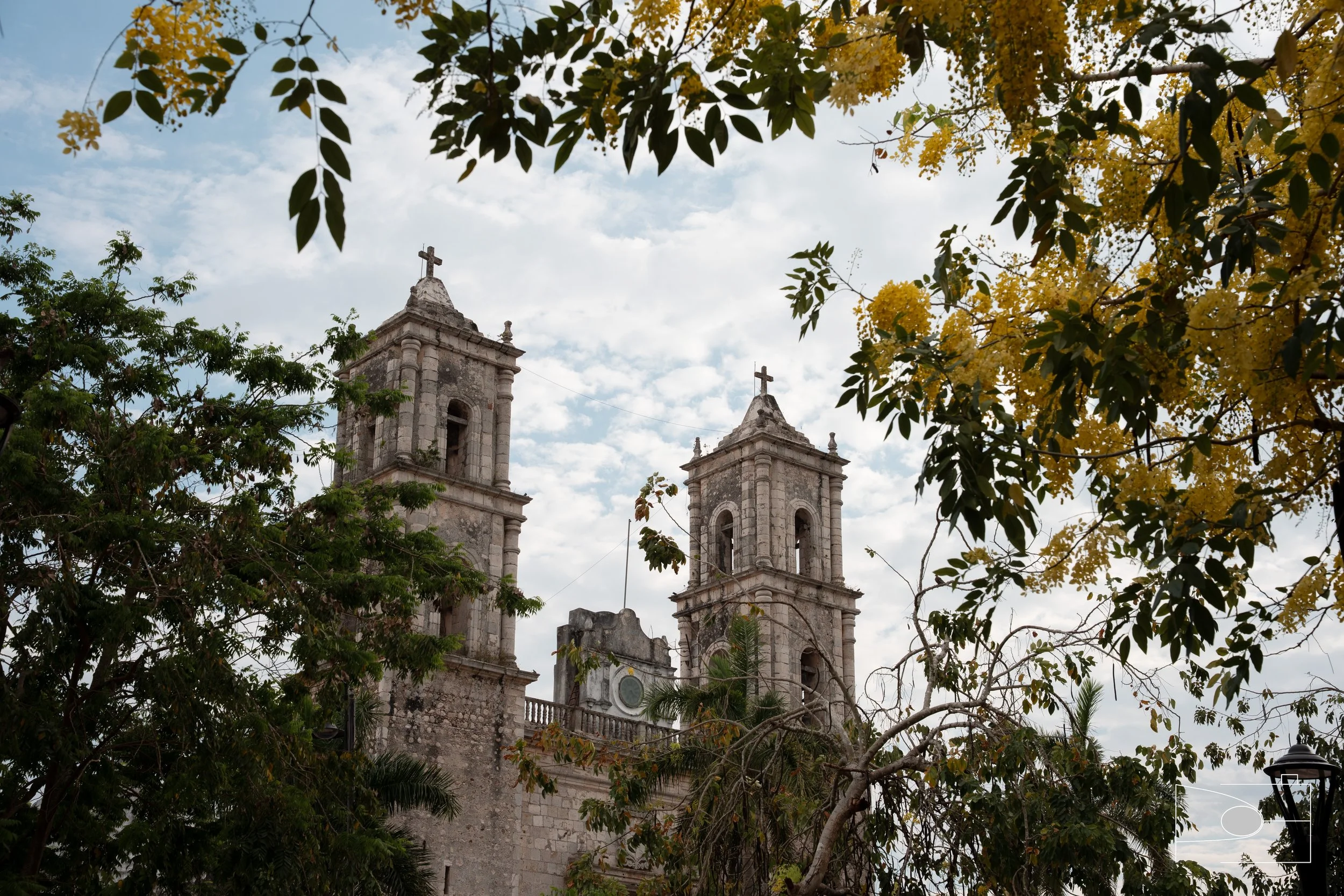 DSE06851.jpg