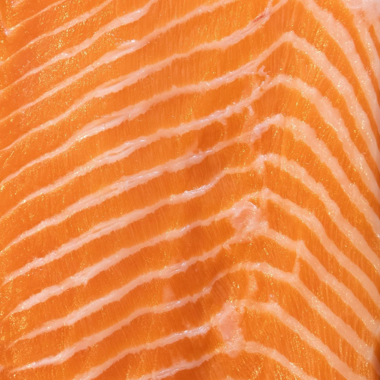Every slice is prepared with heart &mdash; our chefs hand-cut the freshest seafood for each dish🐟💫

SUSHI:K

#sushirestaurant #losangeles #japanese #beverlyhills