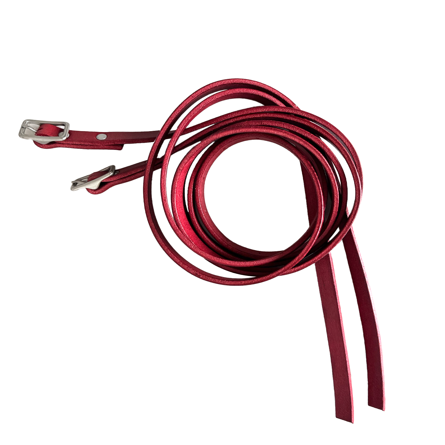 hydra-red-1.png
