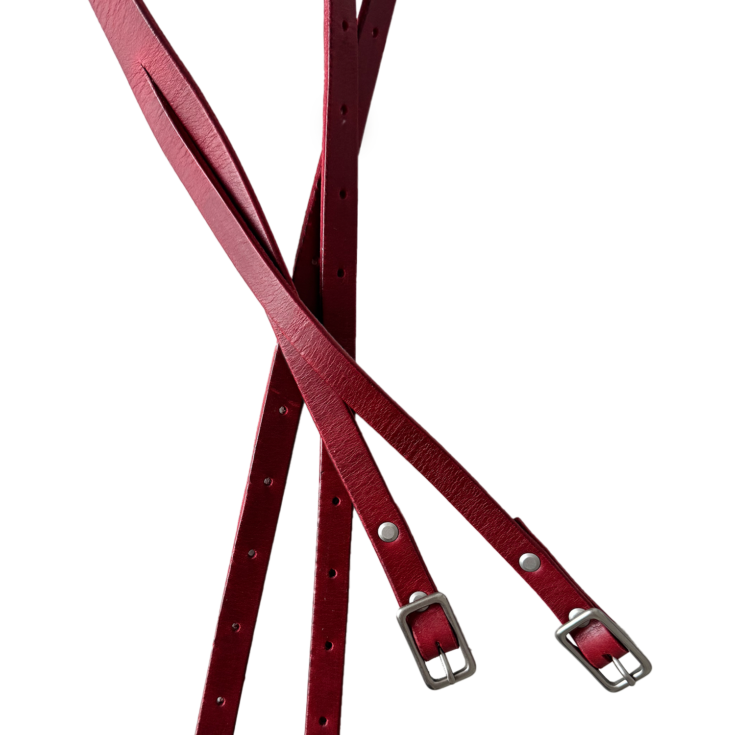 hydra-red-2.png
