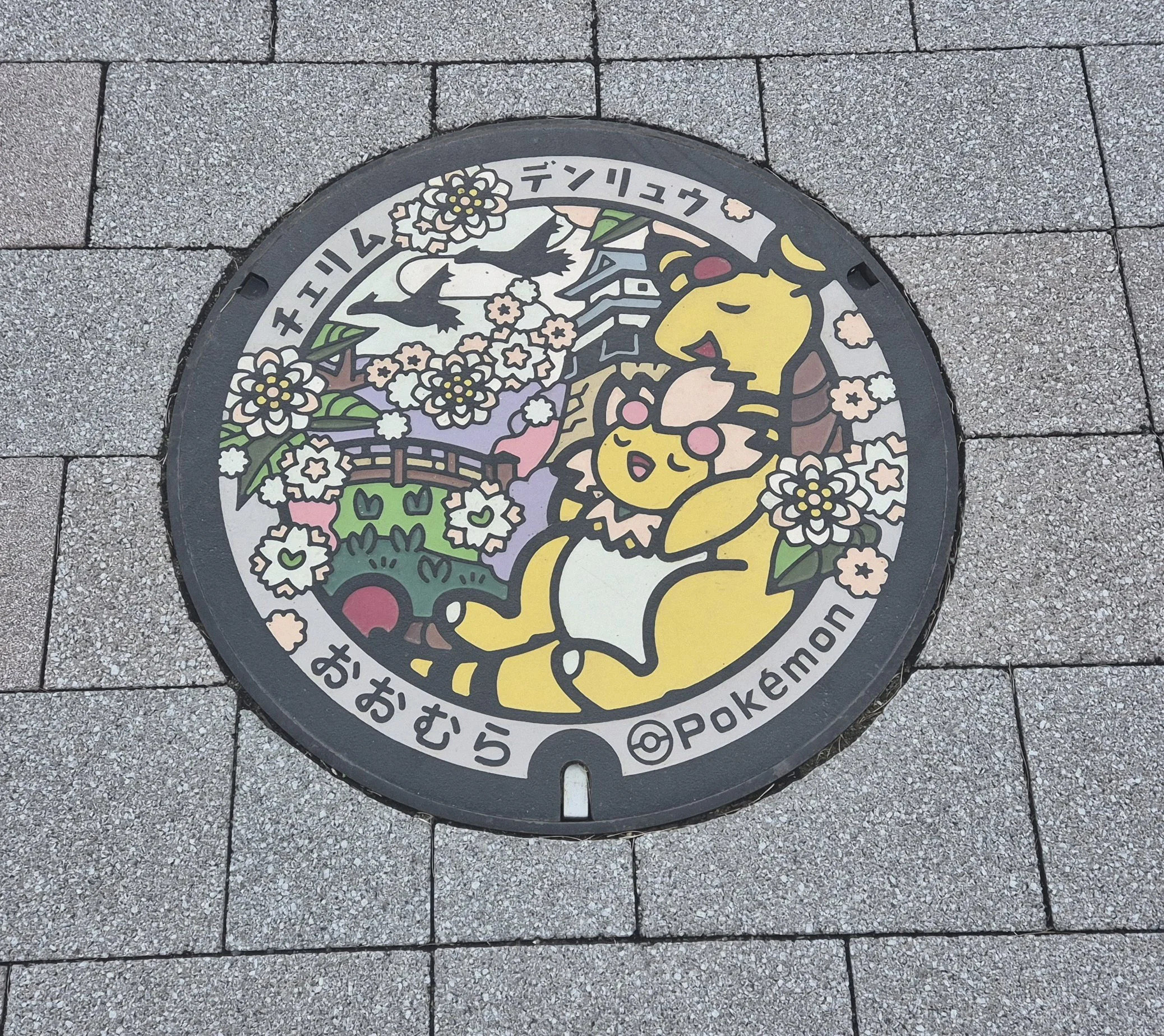 1000057656.jpg