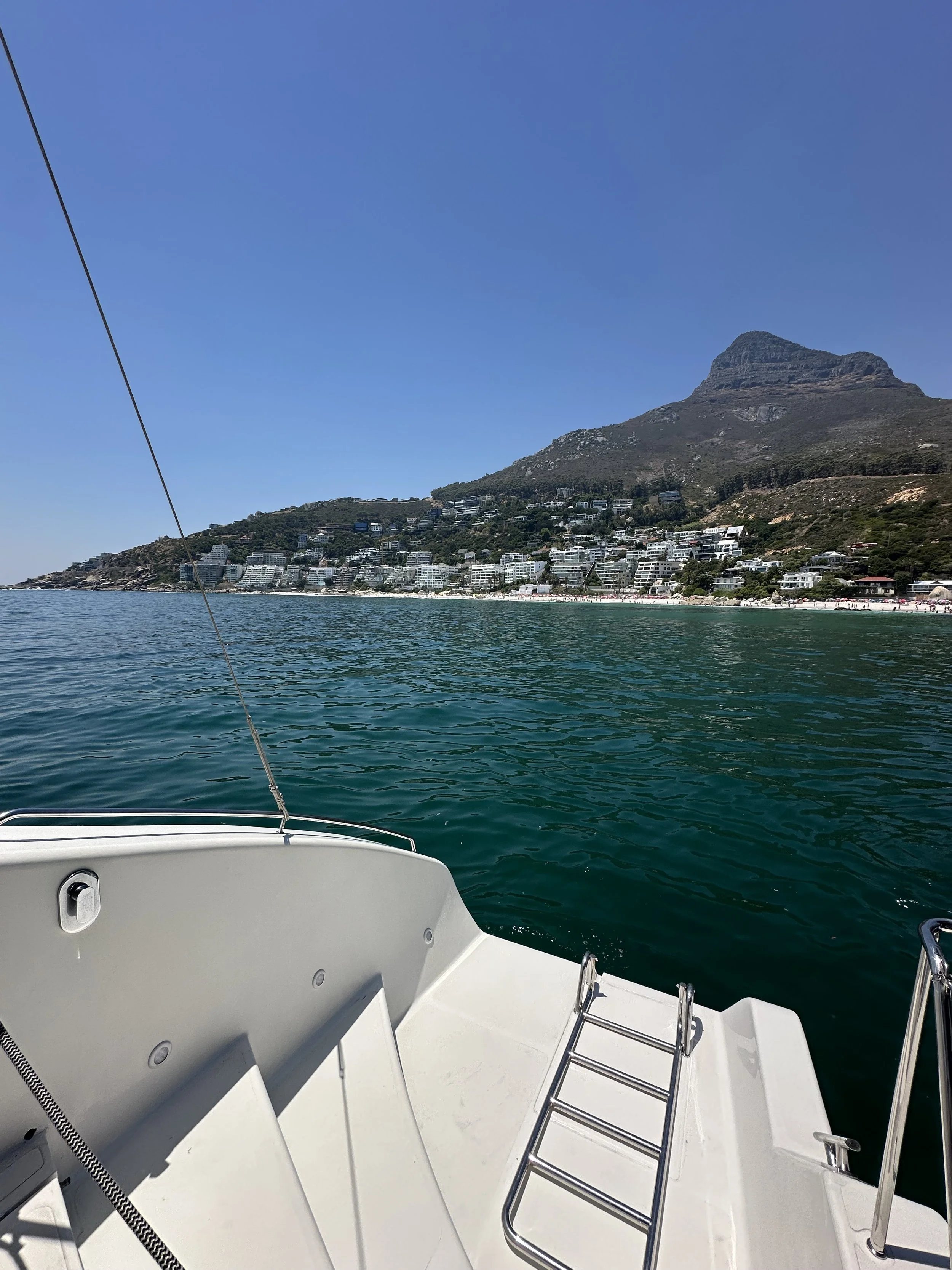 The  Curiosity Equation.