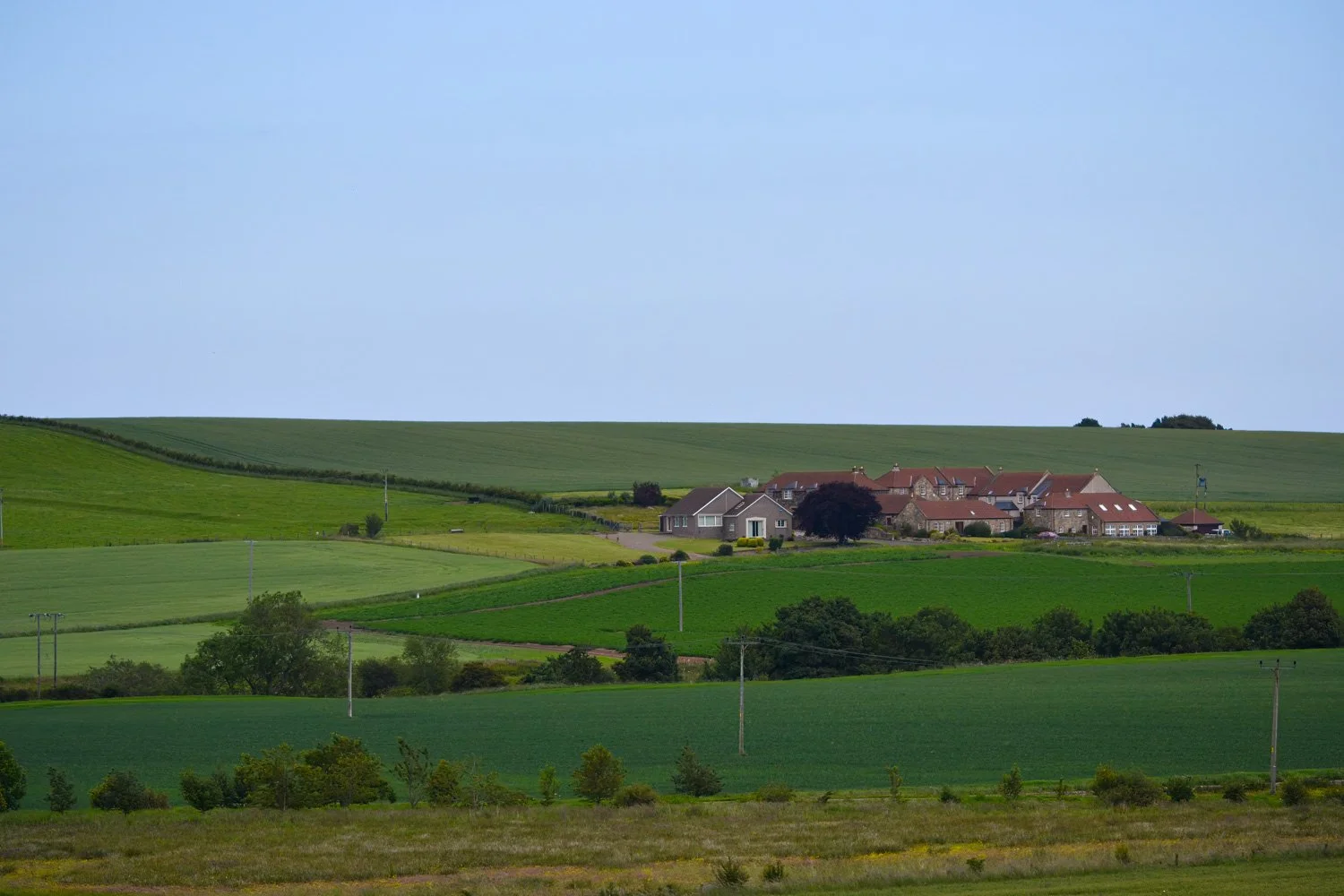 Green rolling farmland with scattered trees and a farmstead with multiple buildings under a cloudy sky.