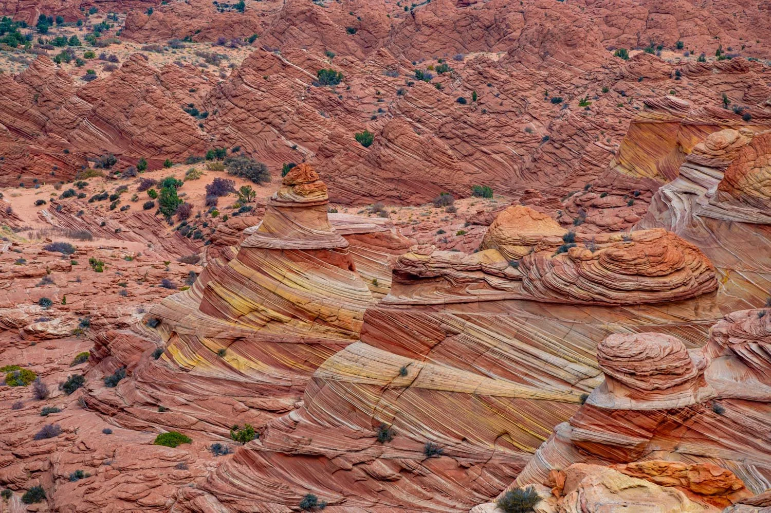 Colorful, layered sandstone formations in a desert landscape with sparse vegetation.