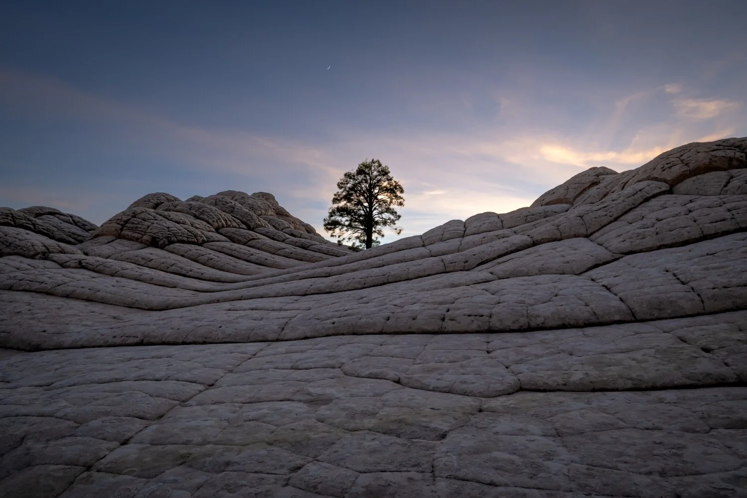 A lone tree on a rock formation during sunset with a crescent moon in the sky.