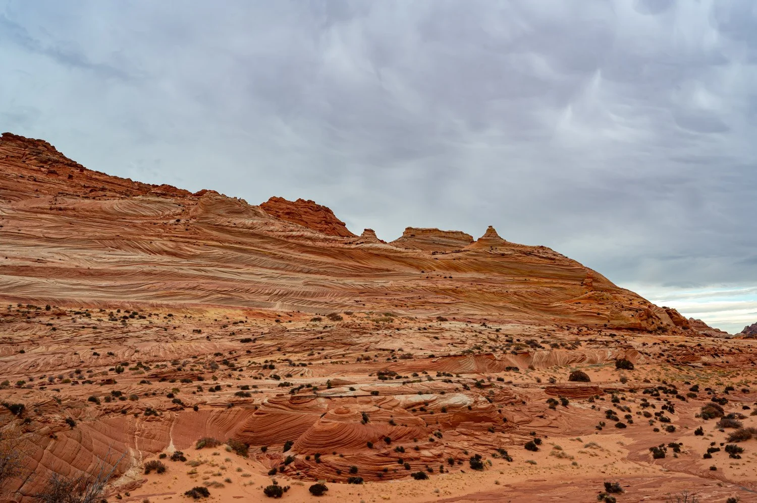 Desert landscape with reddish-brown layered rock formations and sparse vegetation under a cloudy sky.