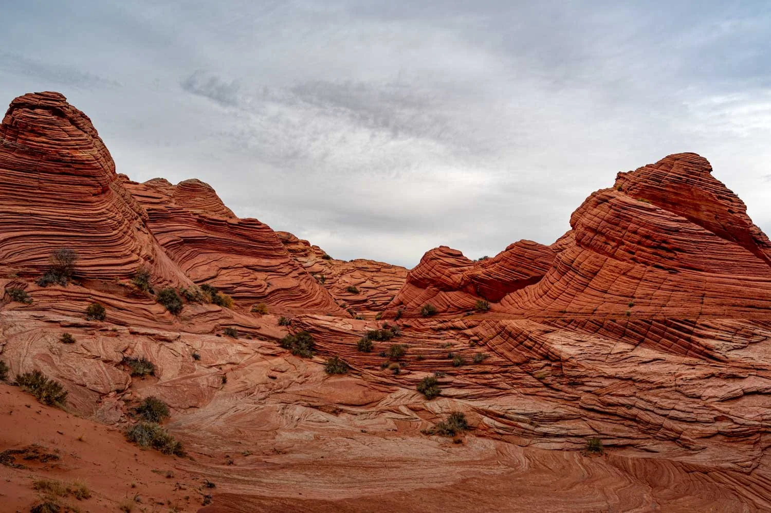 Red rock formations with layered, wavy patterns and sparse desert vegetation under a cloudy sky.