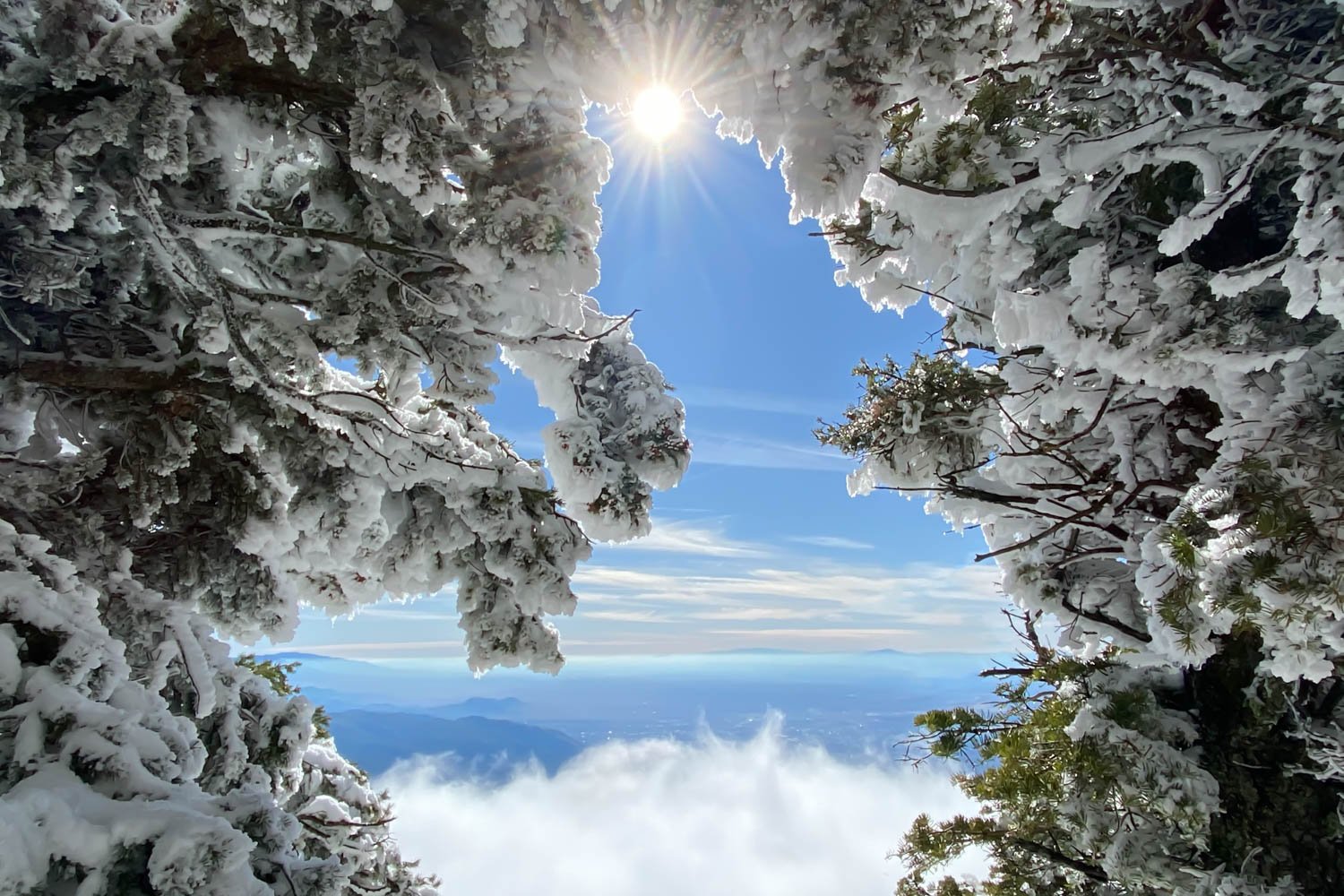 Snow-covered trees with the bright sun shining through, sky with clouds and distant mountains in the background.