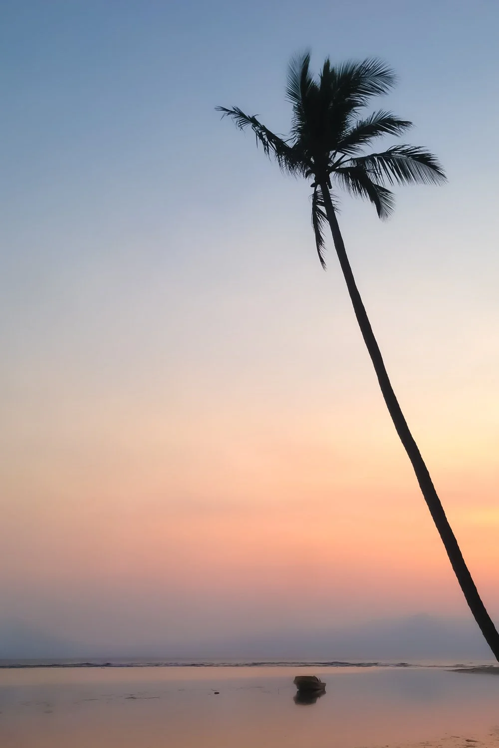 Silhouette of a palm tree on a beach during sunset, with calm water and a small rock in the foreground.