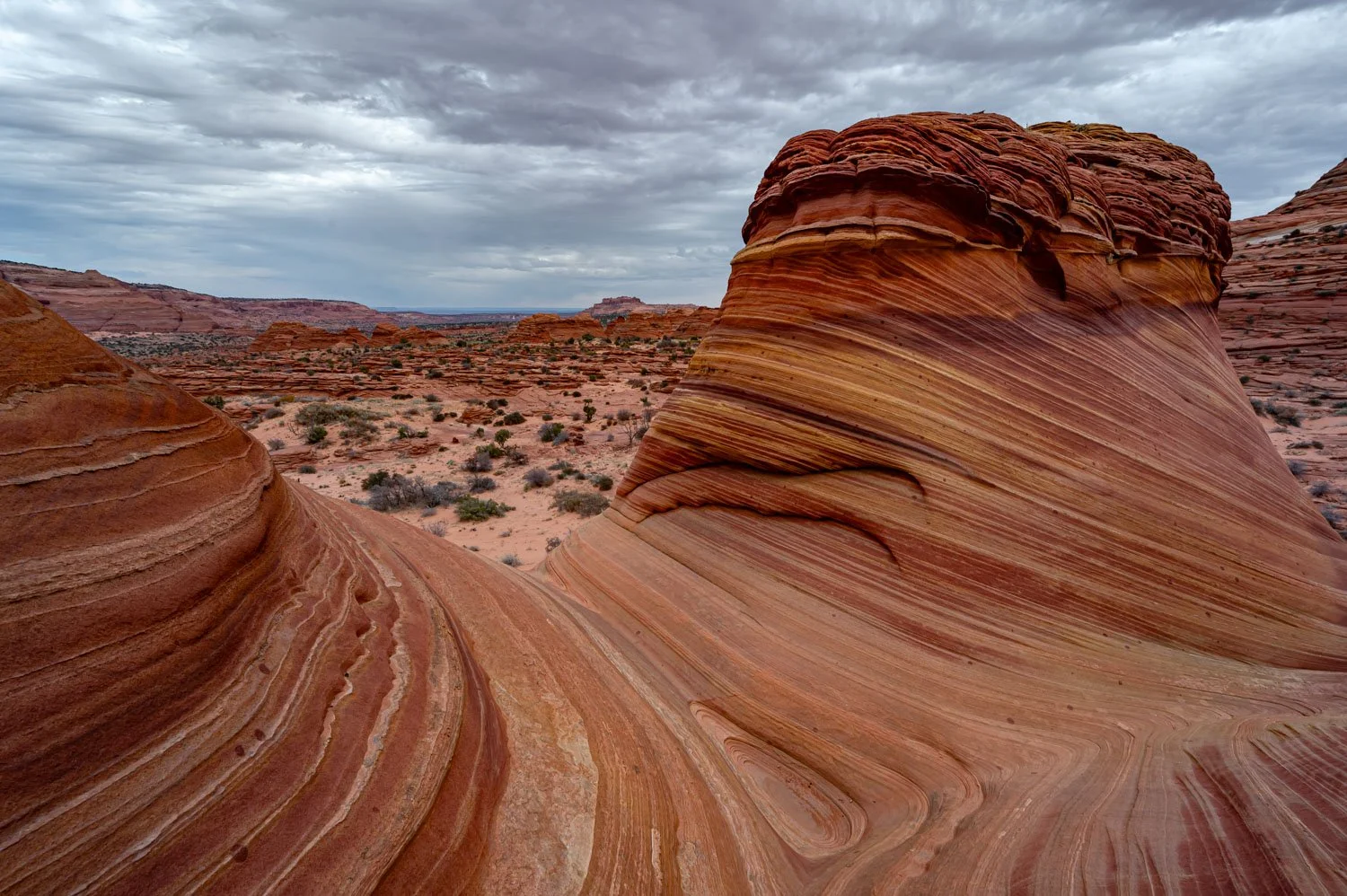 Striated sandstone formations in a desert landscape under a cloudy sky.