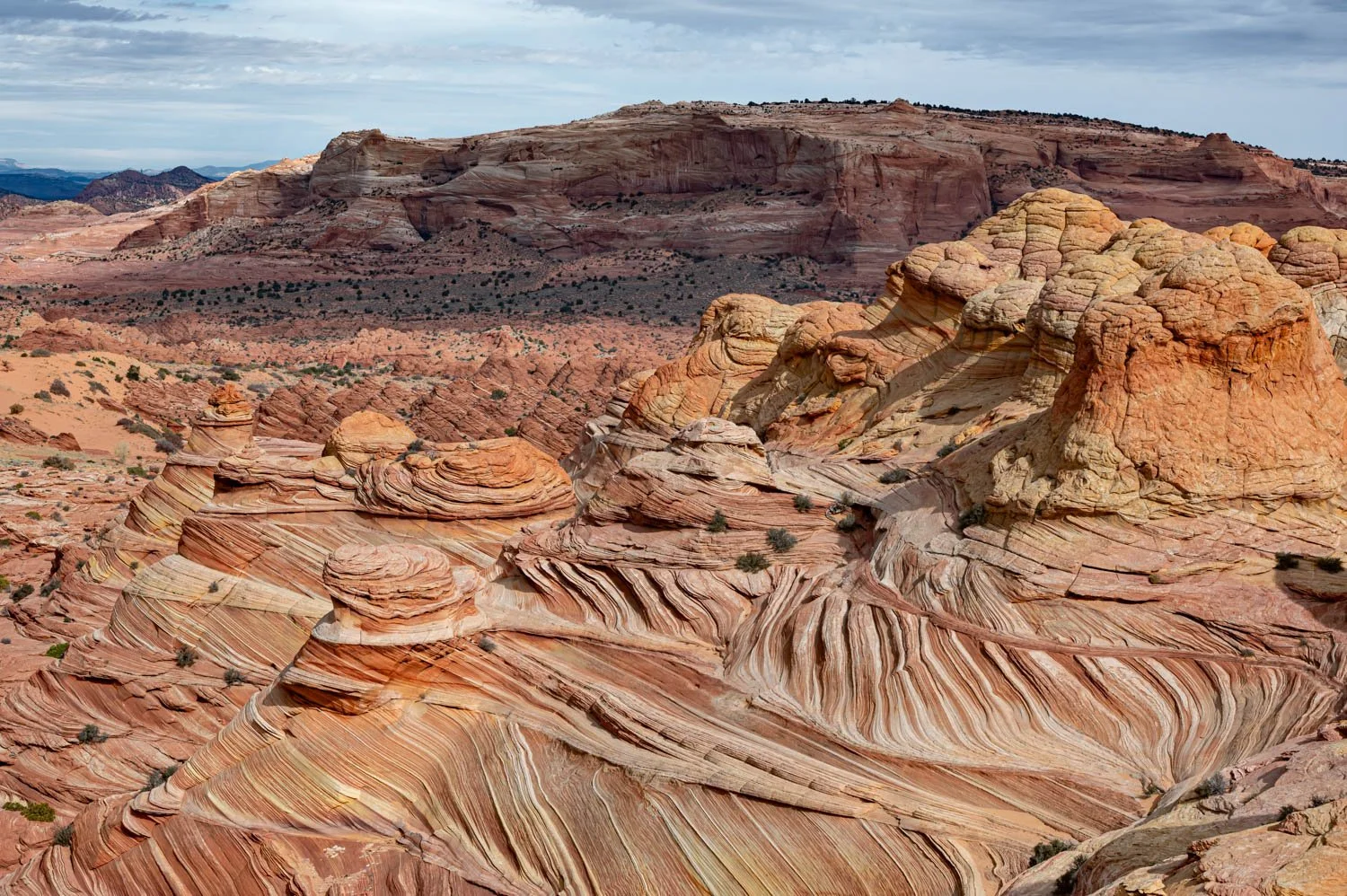Colorful swirling sandstone formations in a desert landscape with distant rocky hills and a cloudy sky.