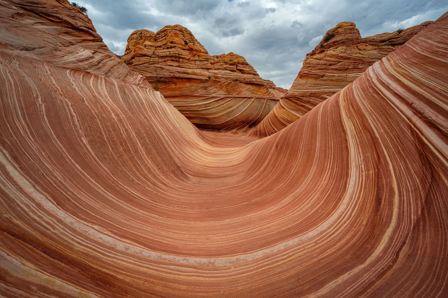 Colored sandstone rock formations with swirling patterns and layered striations, under a cloudy sky at The Wave in Arizona.