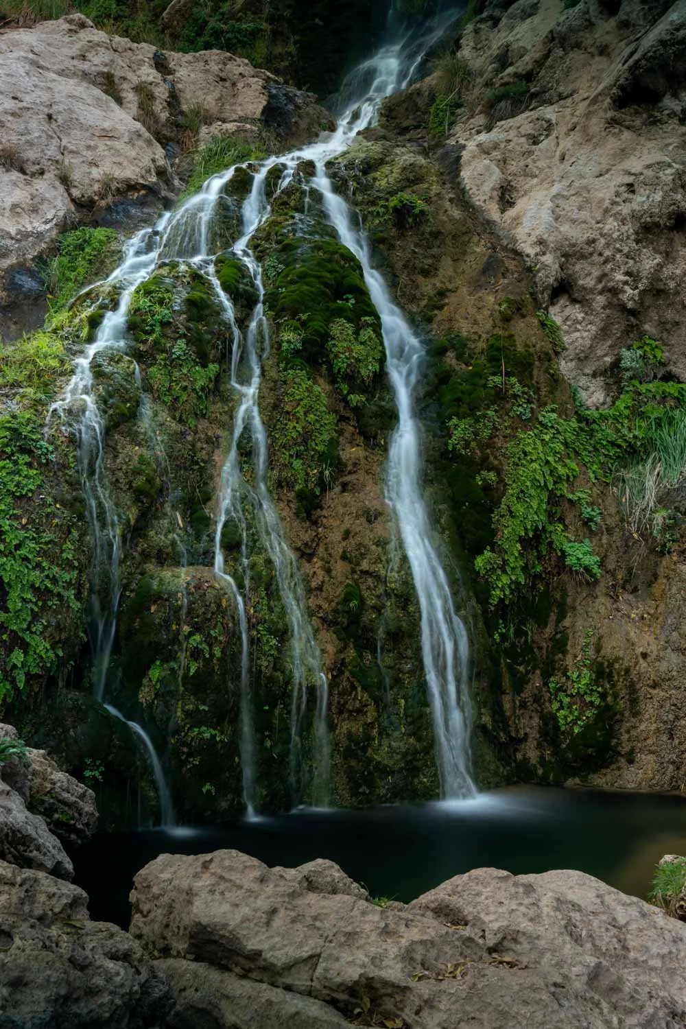 A small waterfall cascading down moss-covered rocks surrounded by greenery.